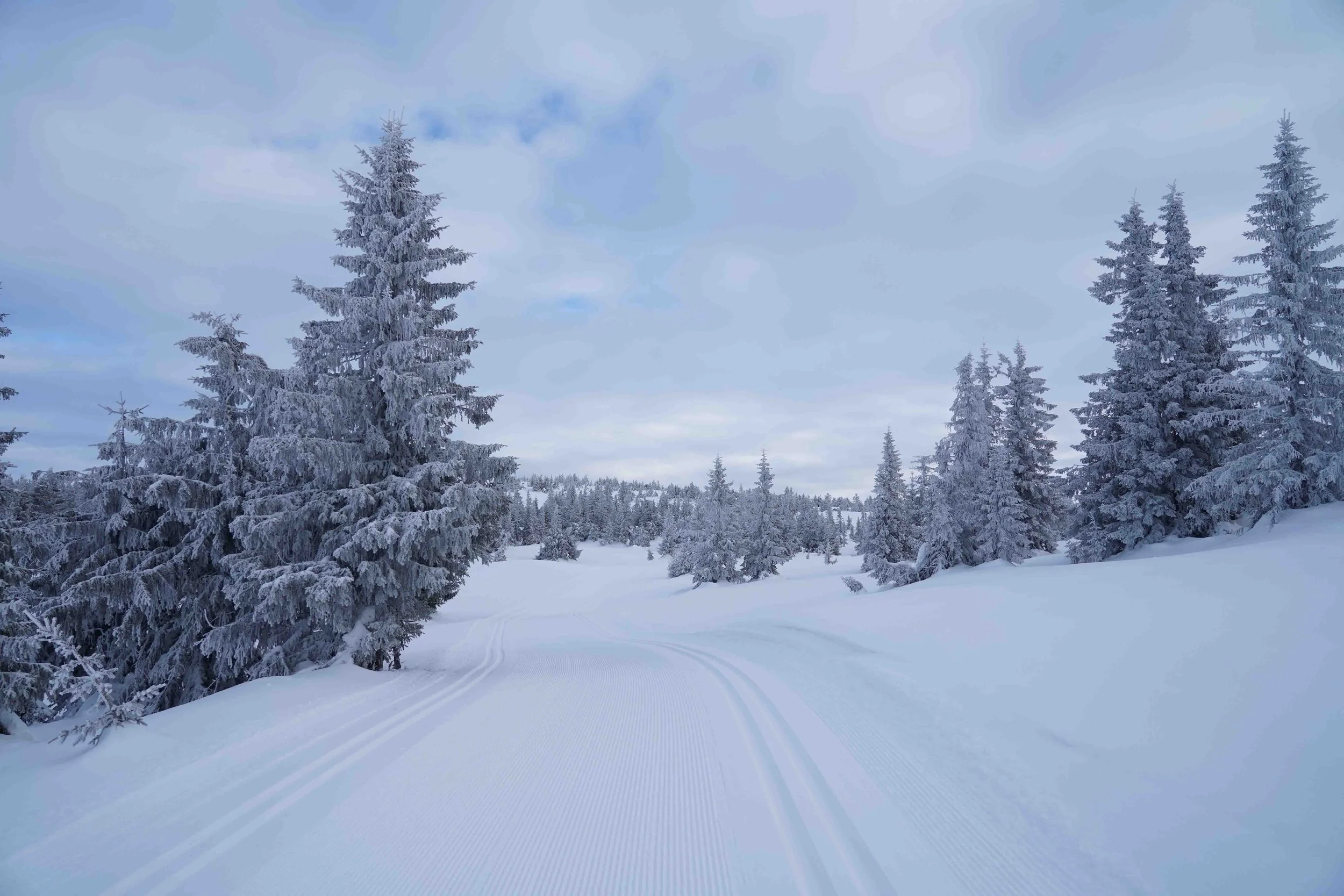 Groomed cross-country ski tracks in a snowy Norwegian landscape