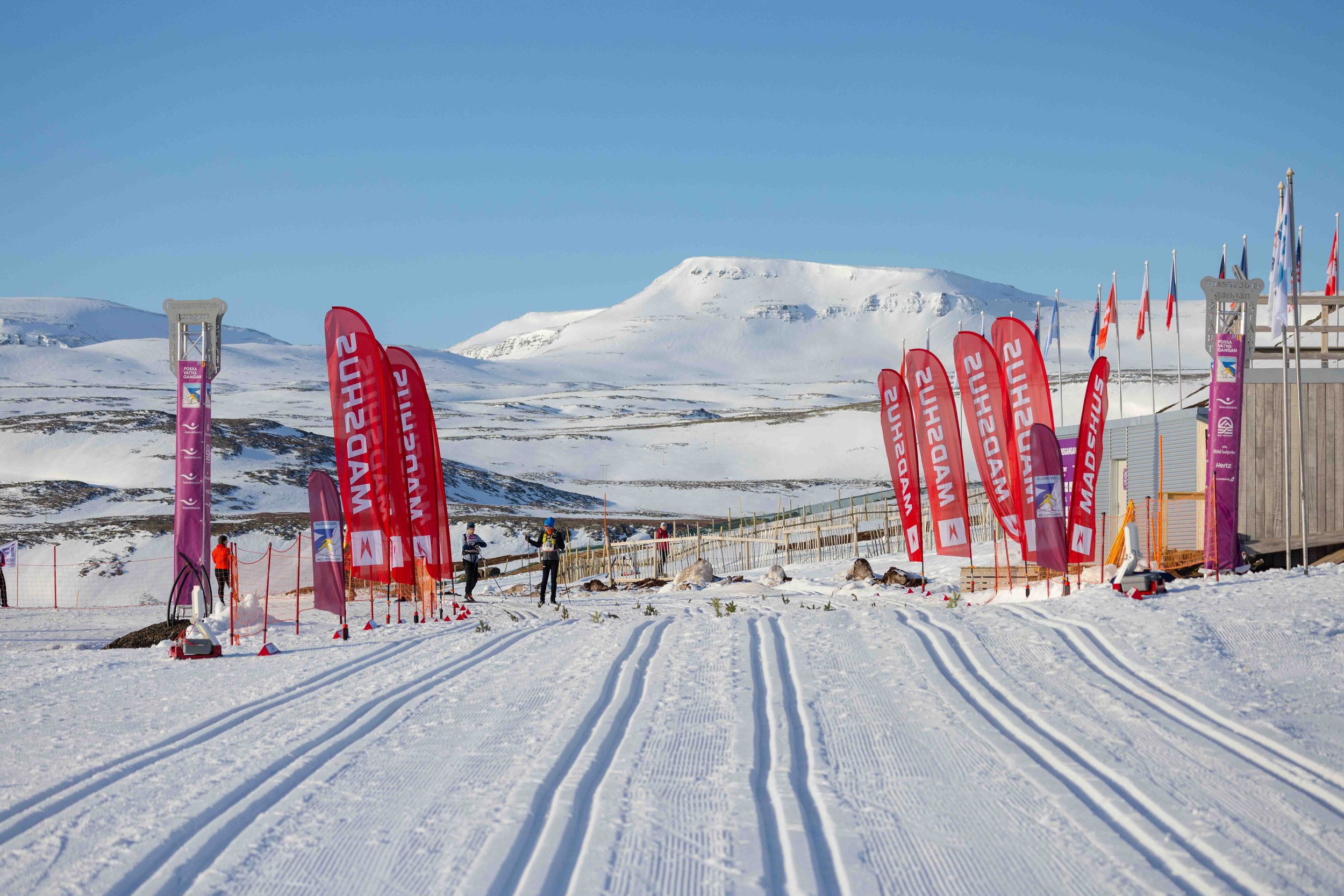 Sunny winter landscape with crisp ski tracks for the Fossavatn classic event in Iceland