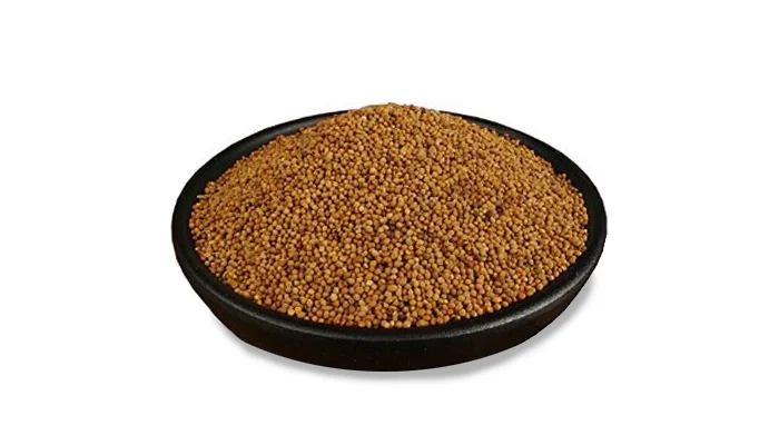 Dodder-Seed-image.jpg