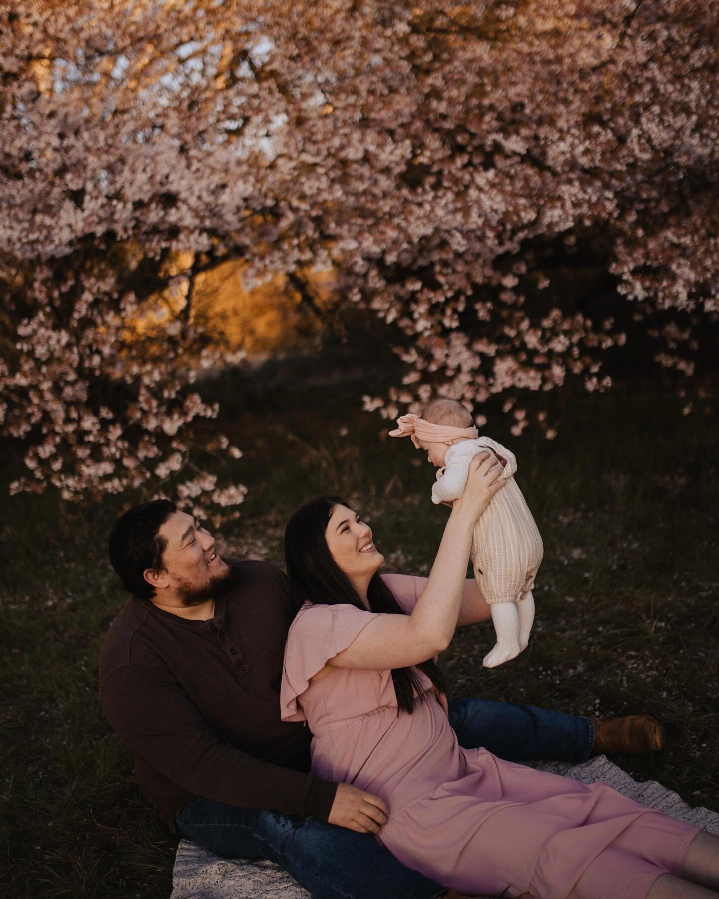 Such a sweet spring session with the Kruse fam! 🌸

#sherwoodoregon #sherwoodphotographer #portlandfamilyphotographer #springflowers #springsession