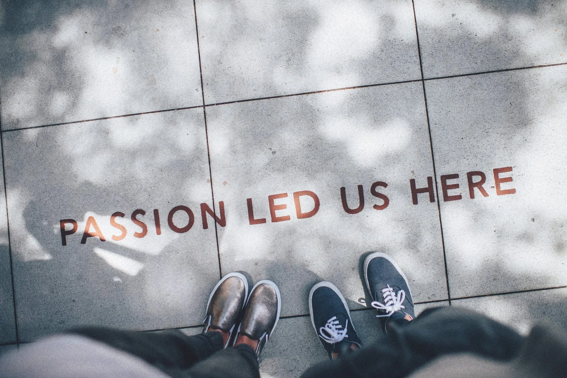 pexels-photo-51187_Edited.jpg