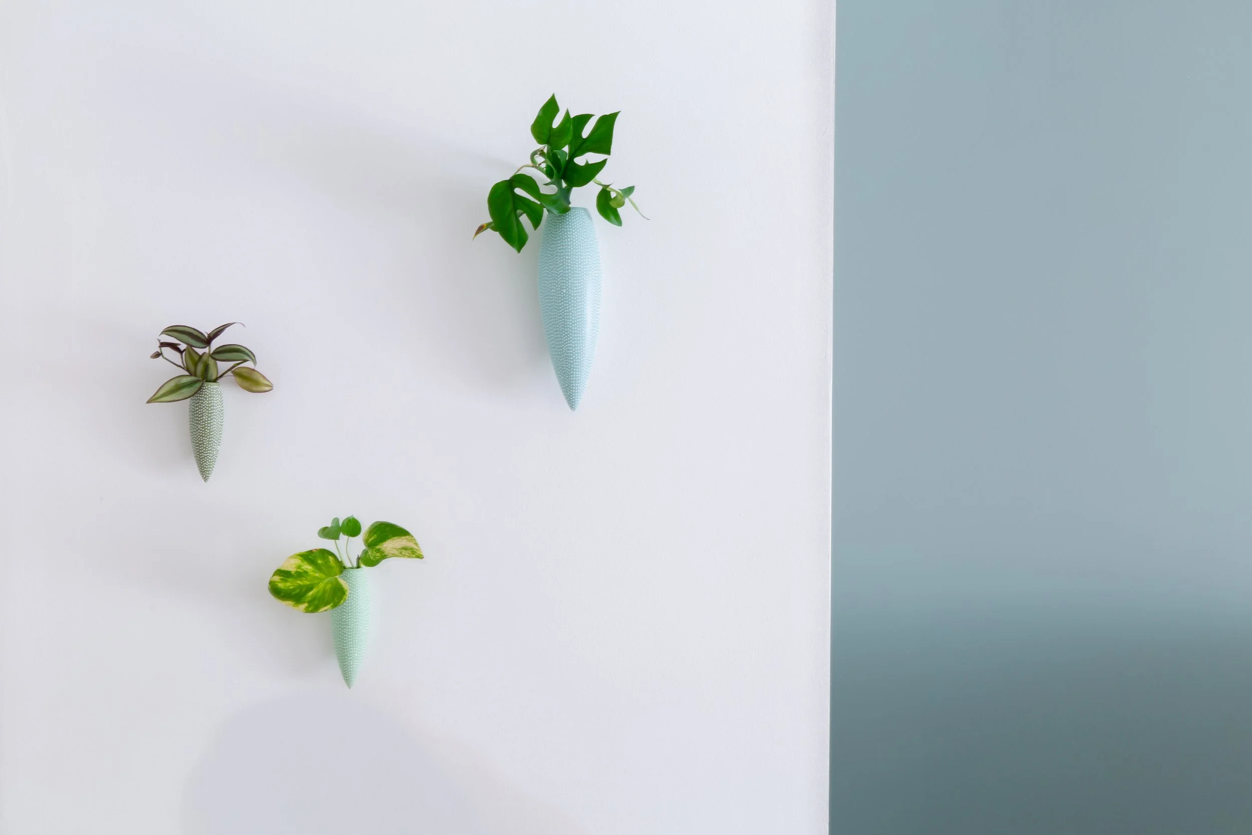 20241214-IJP_0167 copy.jpg