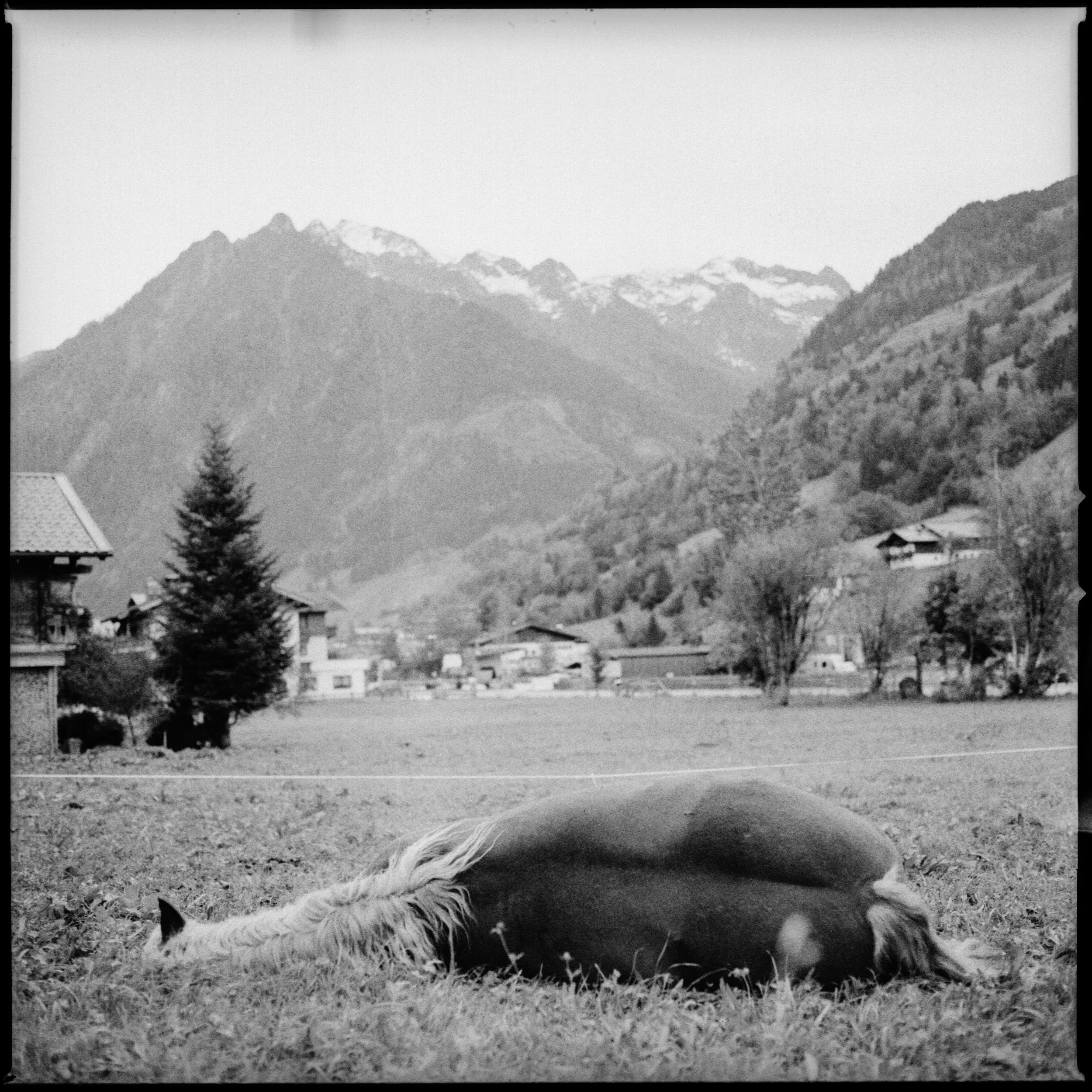 2 - 25.9 - Lampenhausen.jpg