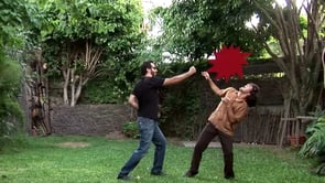 pelea scratch