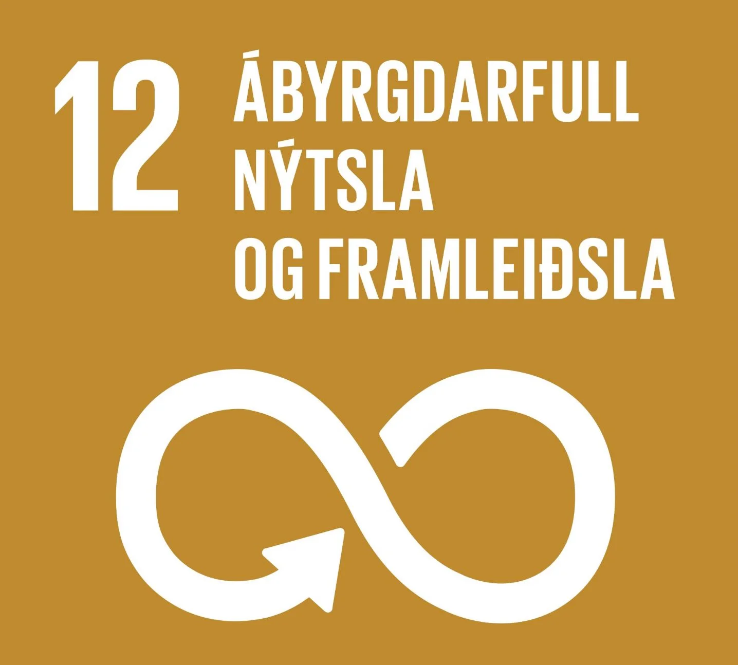 Heimsmál nummar 12: Ábyrgdarfull nýtsla og framleiðsla