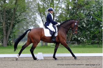 Q DRESSAGE LOGO_3_small.png