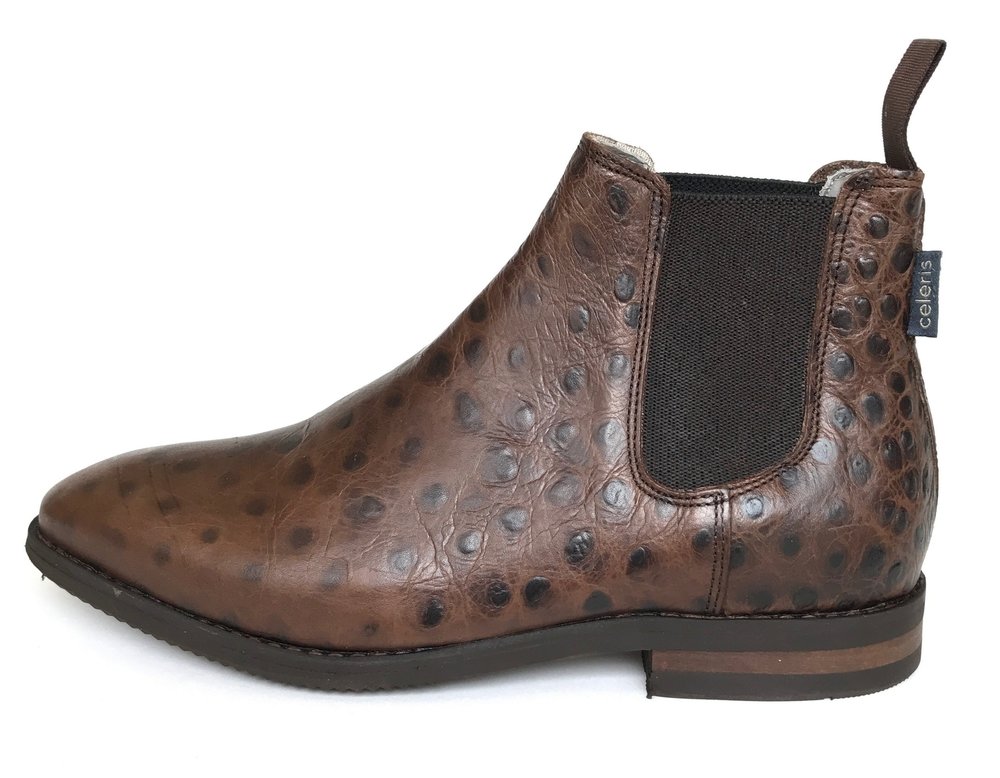 Celeris Stiefelette Letizia Lederstiefelette Reitstiefelette Kalbsleder Celeris Stiefelette Letizia Lederstiefelette Reitstiefelette Kalbsleder