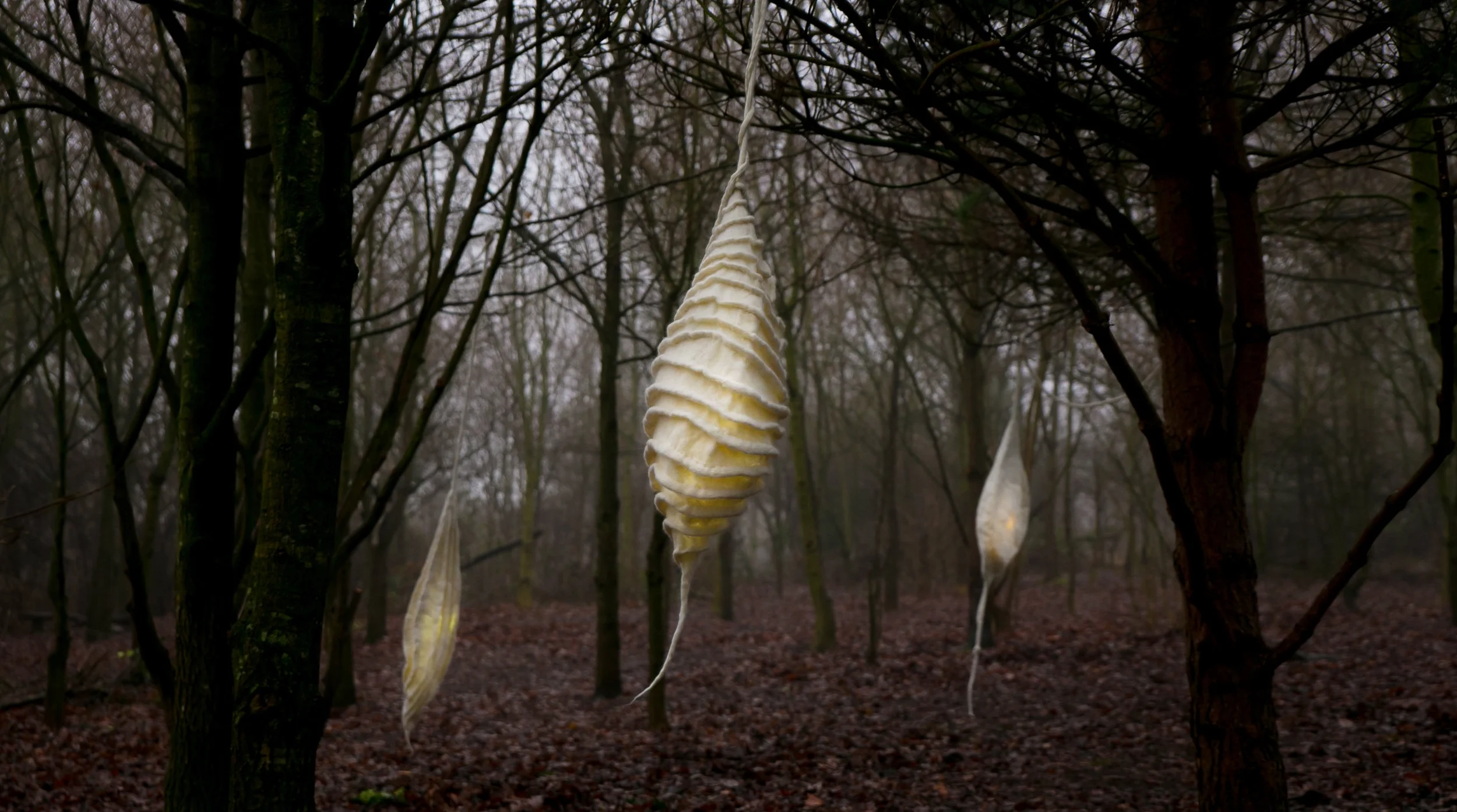 Chrysalis, Beehive and SeedPod