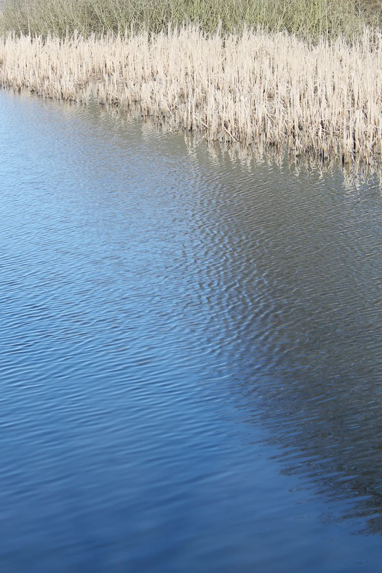 water.jpg
