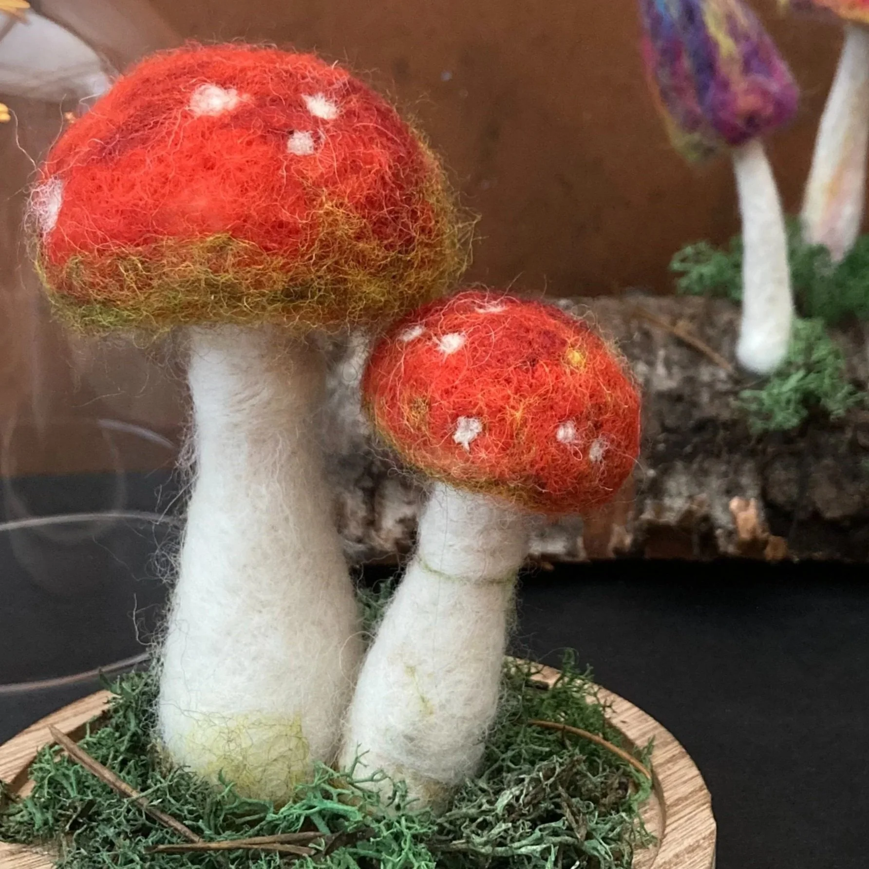 Toadstool%2BP.jpg