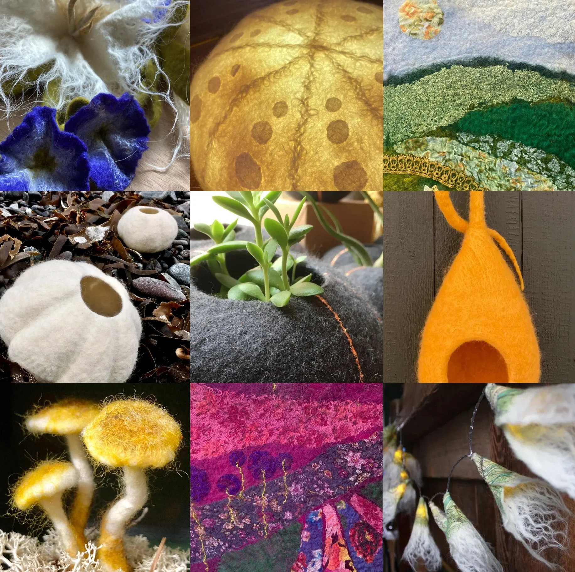 MULTI image collage.jpg