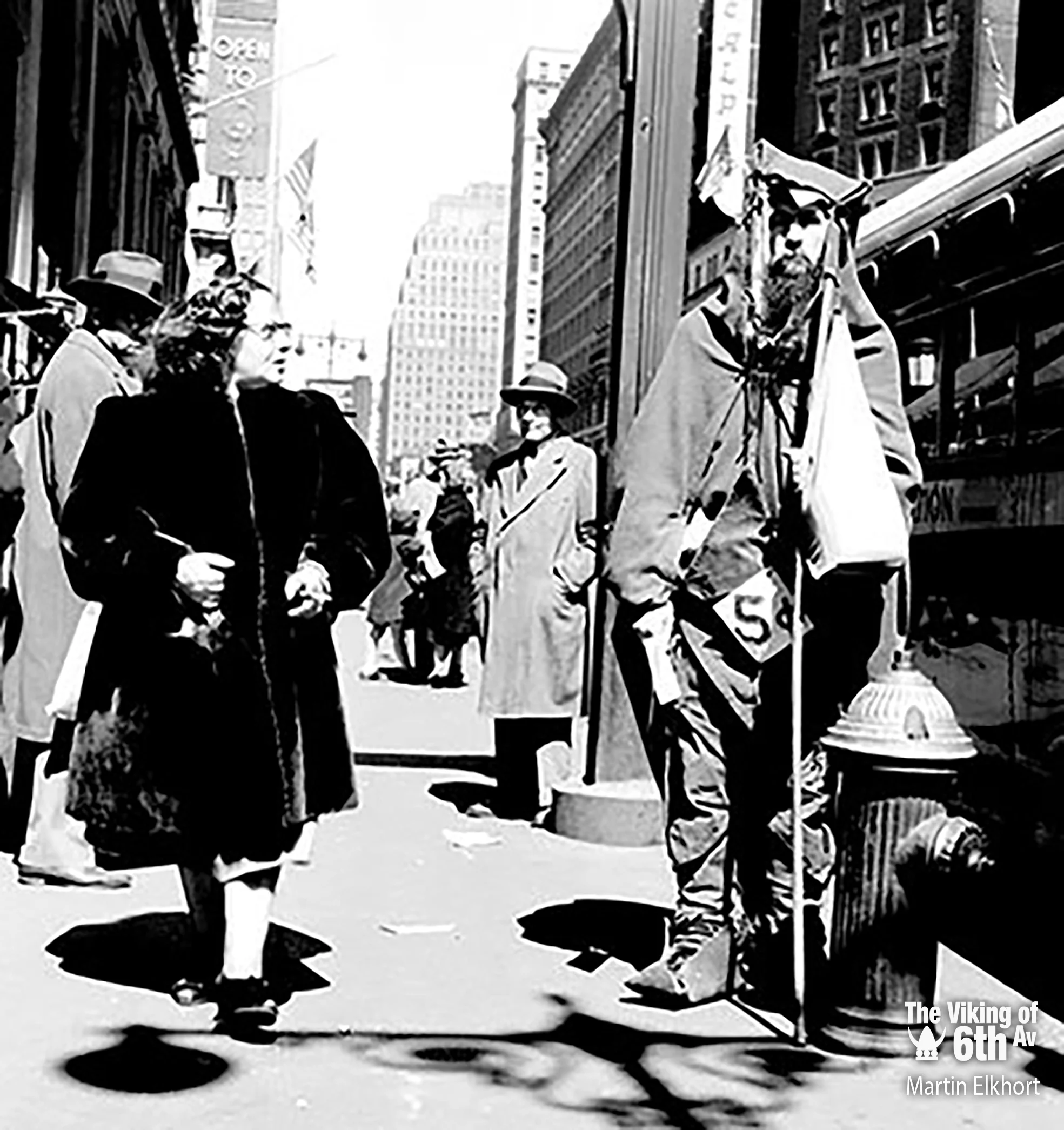 moondog image4 copy.jpg