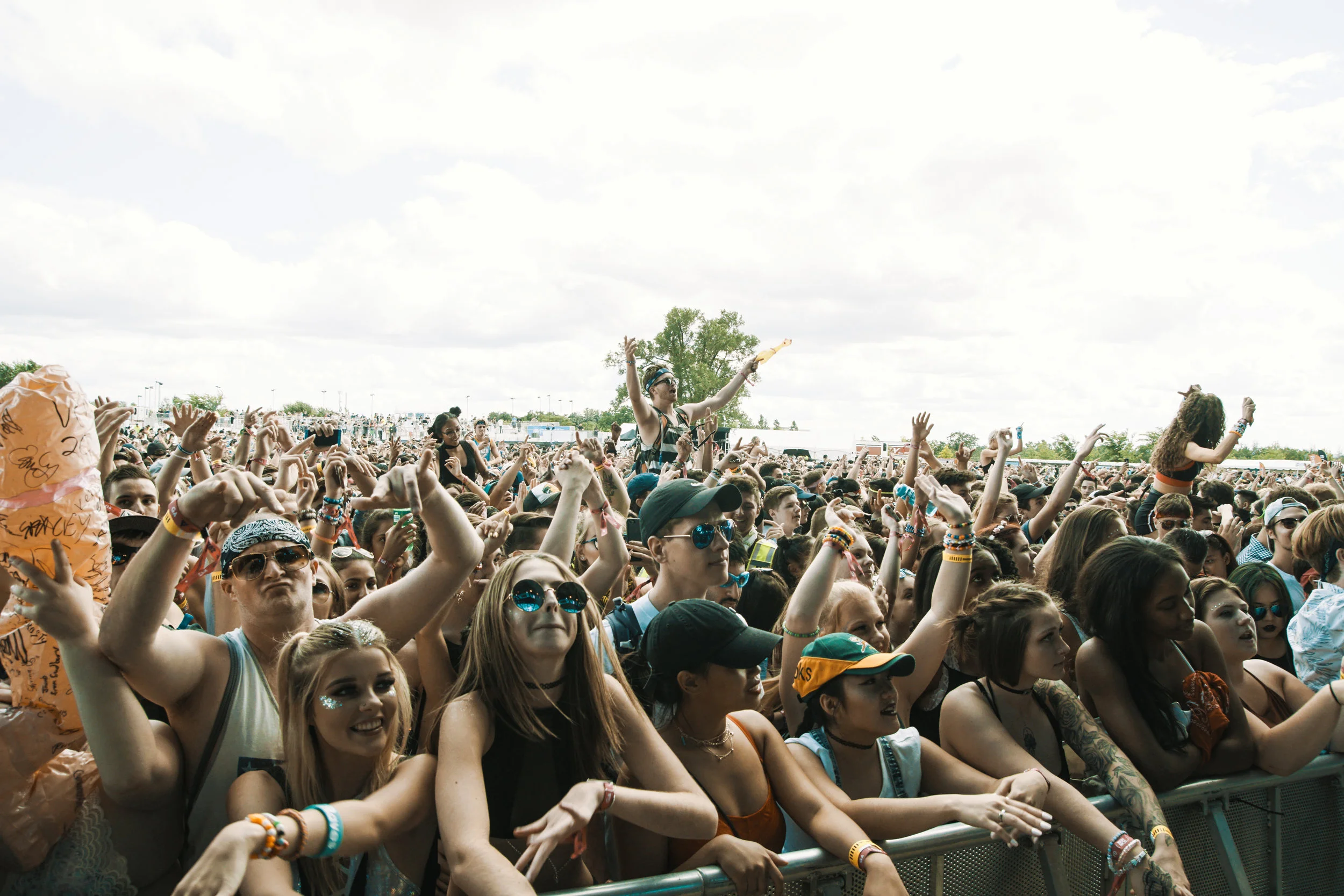 Veld 2017-025.jpg