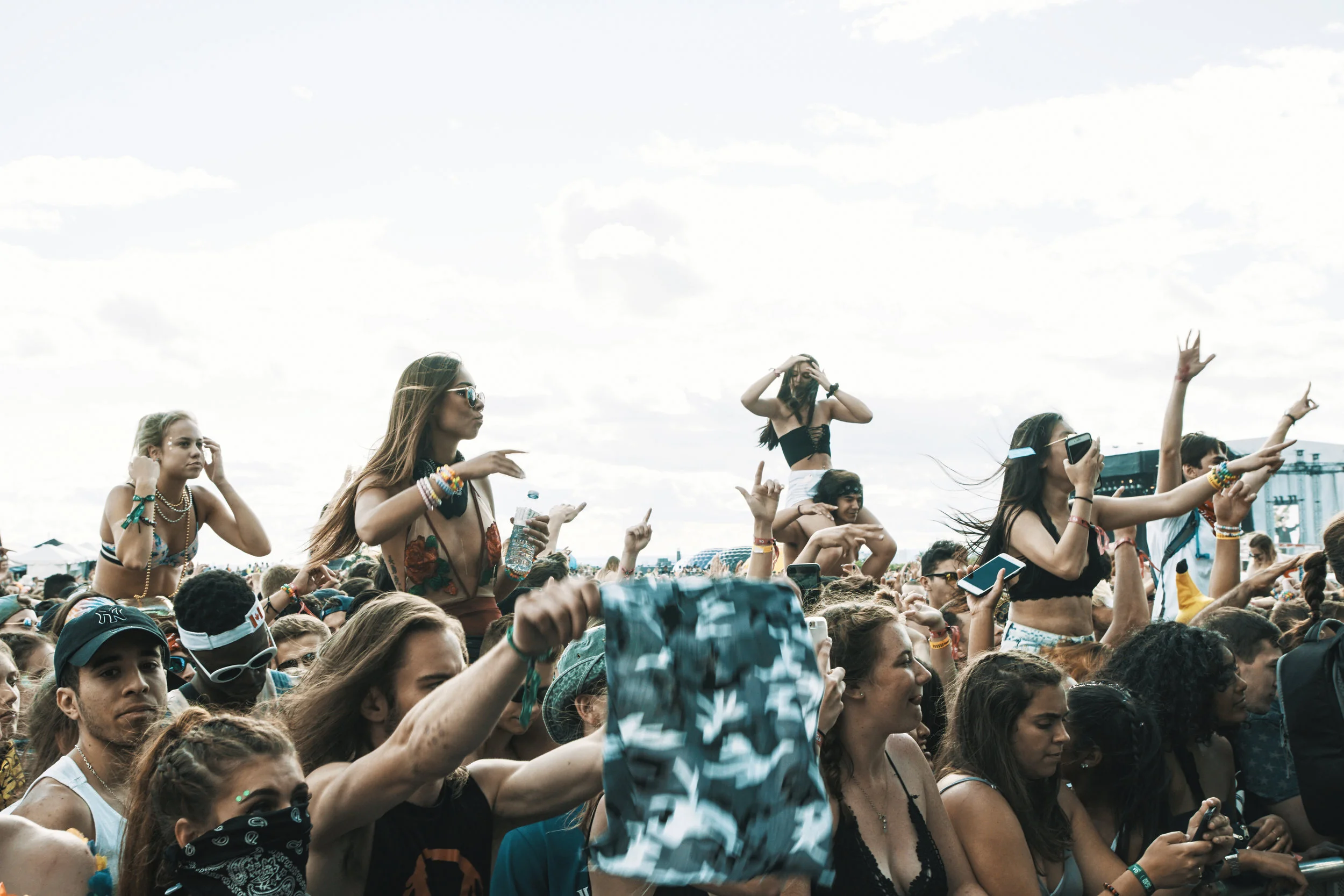 Veld 2017-041.jpg