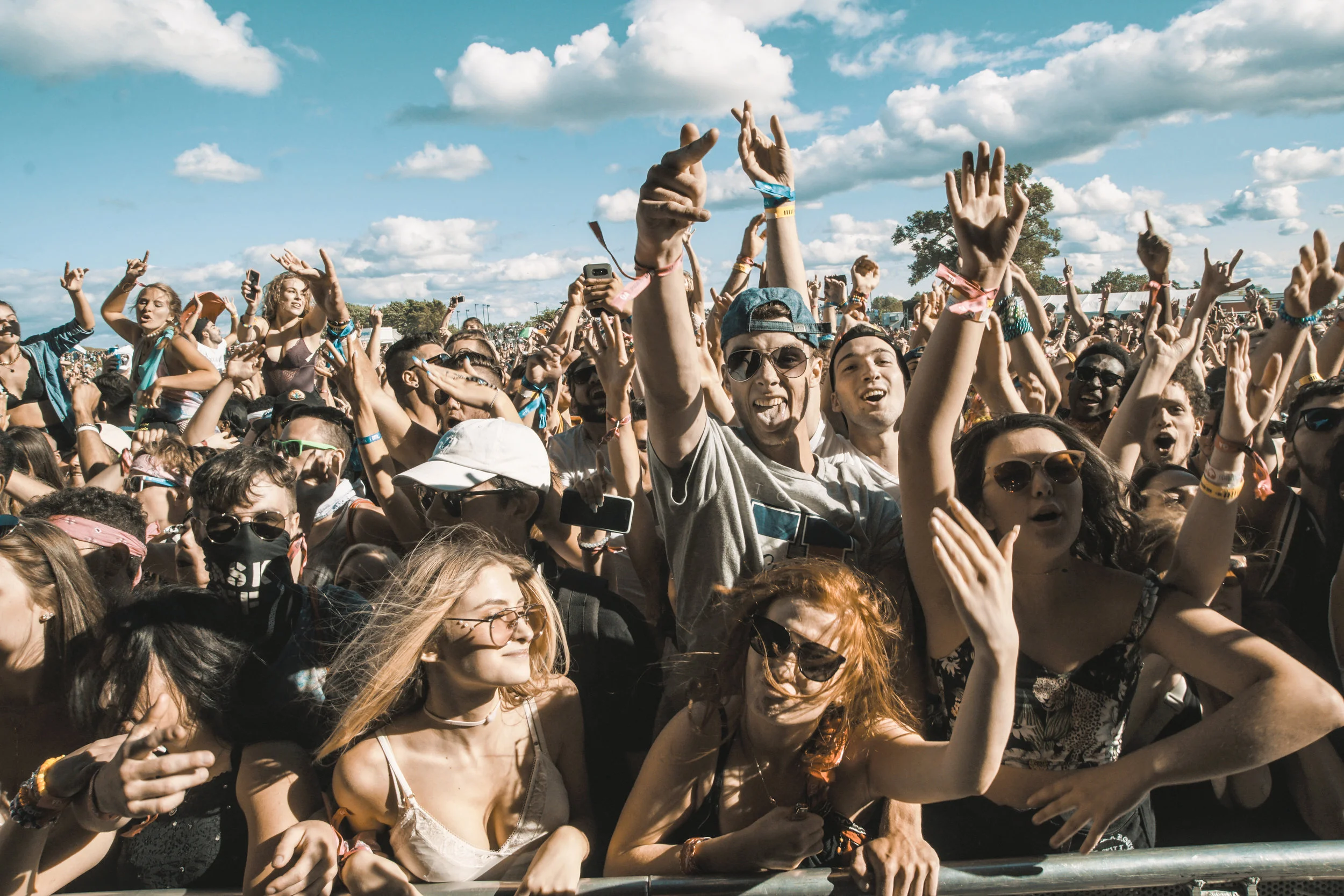 Veld 2017-046.jpg