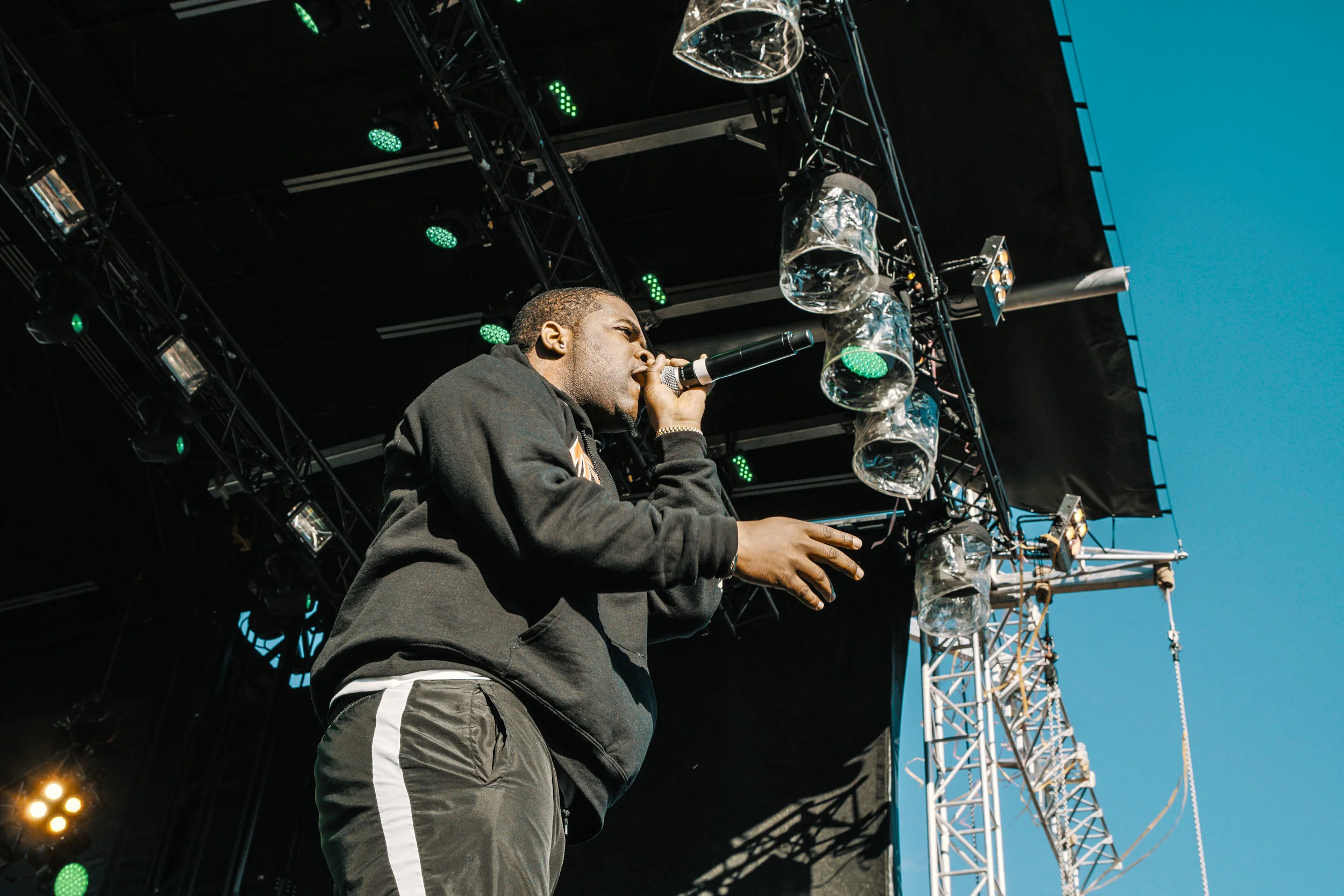 Veld 2017-050.jpg