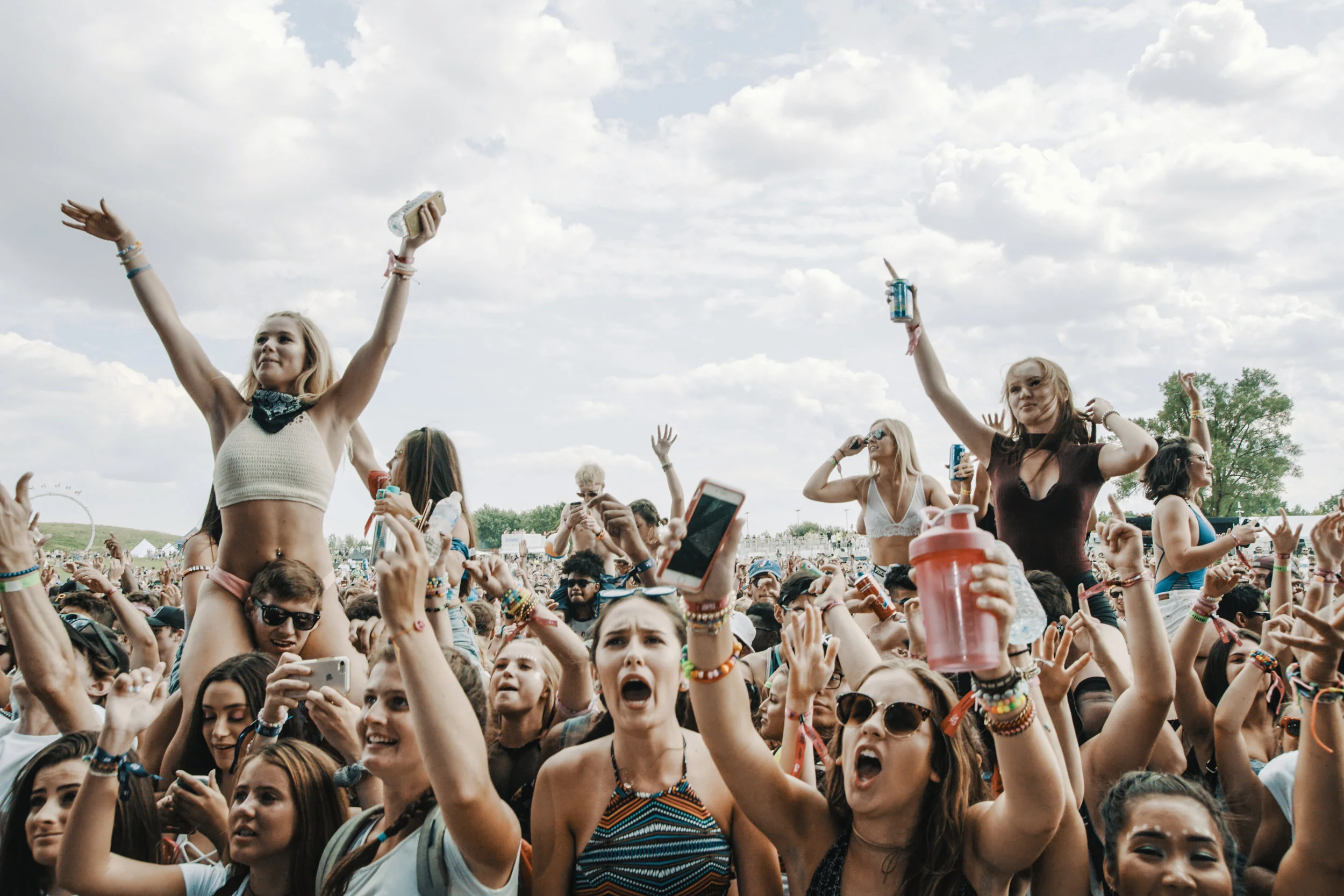 Veld 2017-084.jpg