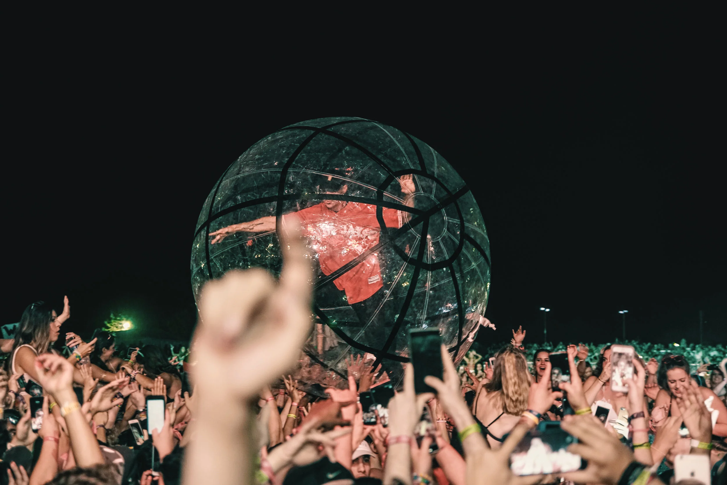 Veld 2017-143.jpg