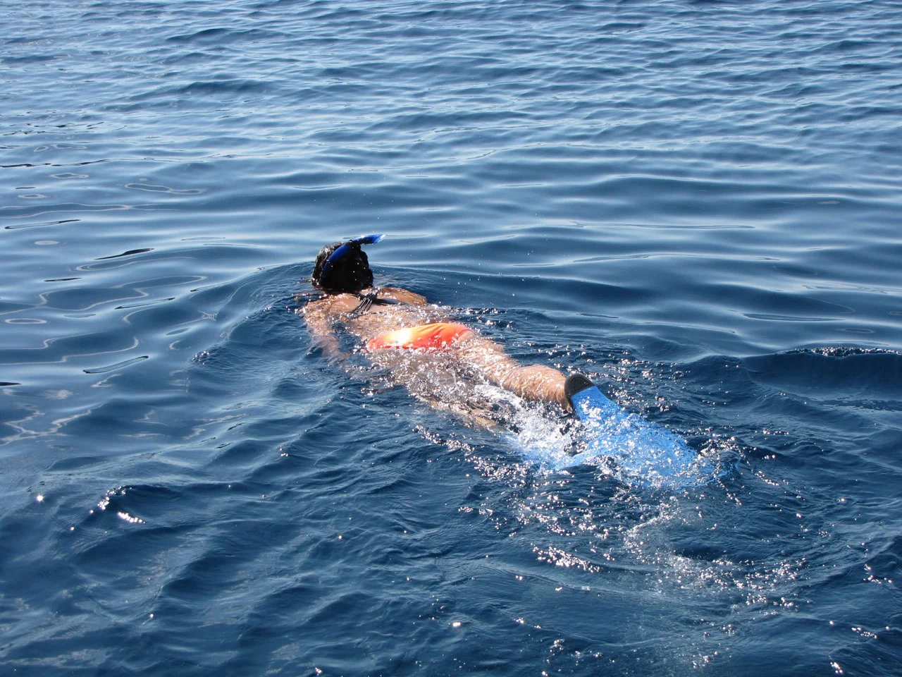kings-ransom-water-IMG_7508.jpg