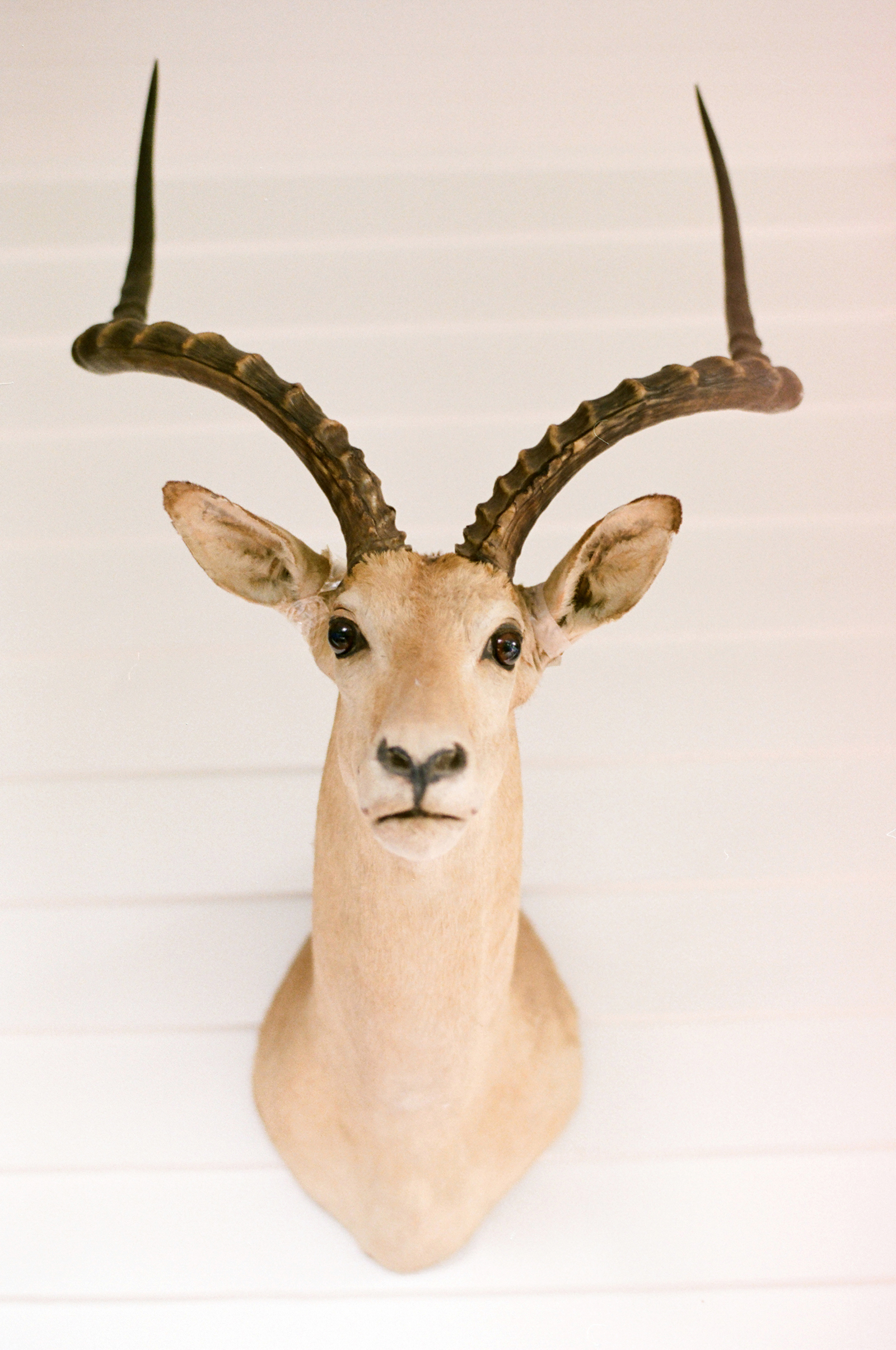 0002_Texas_Ranch_Wedding_Photographer.jpg