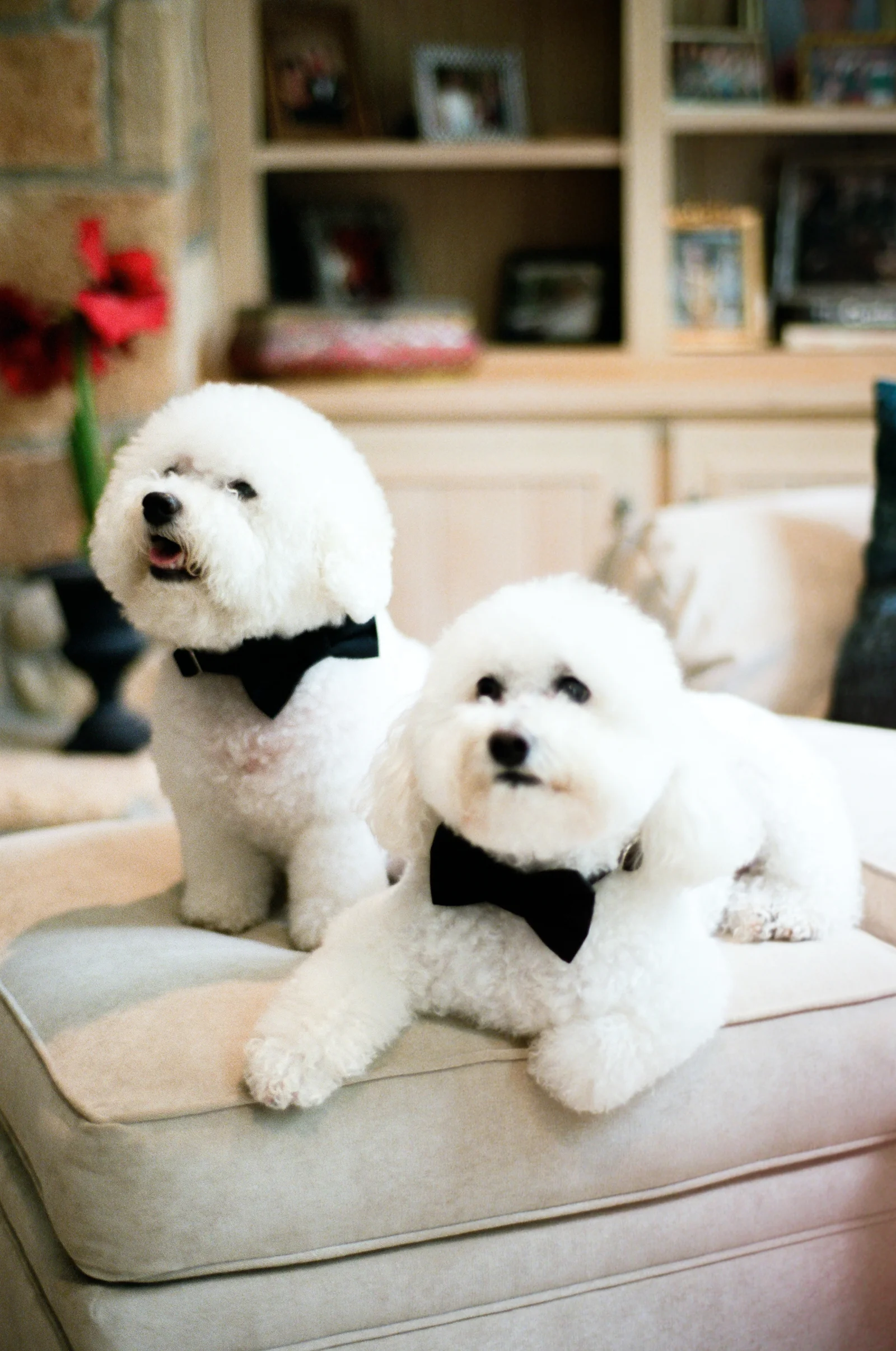0003_Houston_Country_Club_Wedding_Photographer.jpg