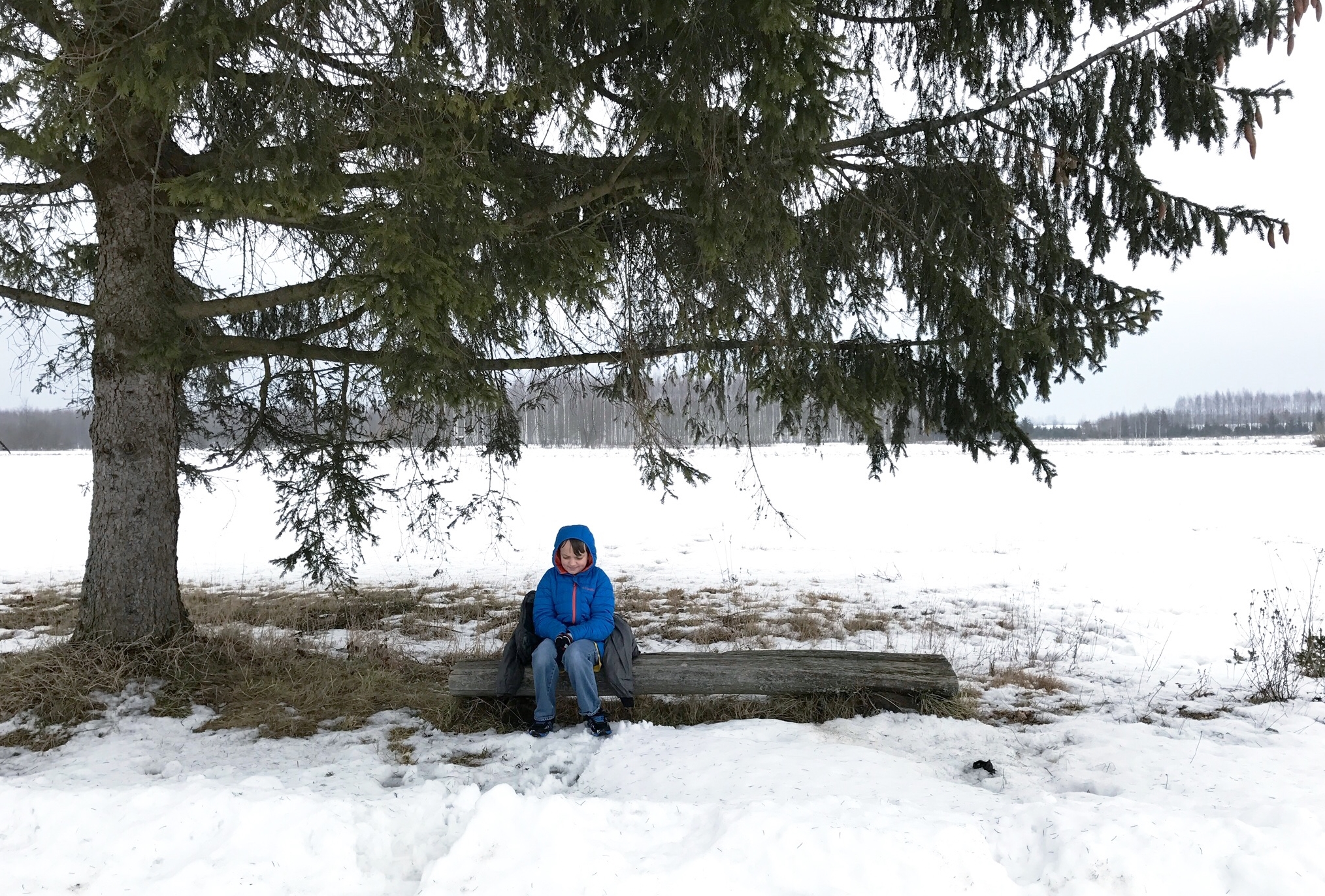 sitting-beneath-a-tree-bialowieza-forest.jpg