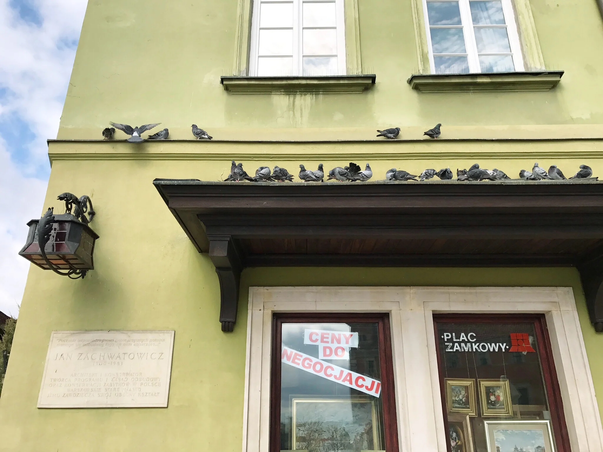 pigeons-in-warsaw.jpg