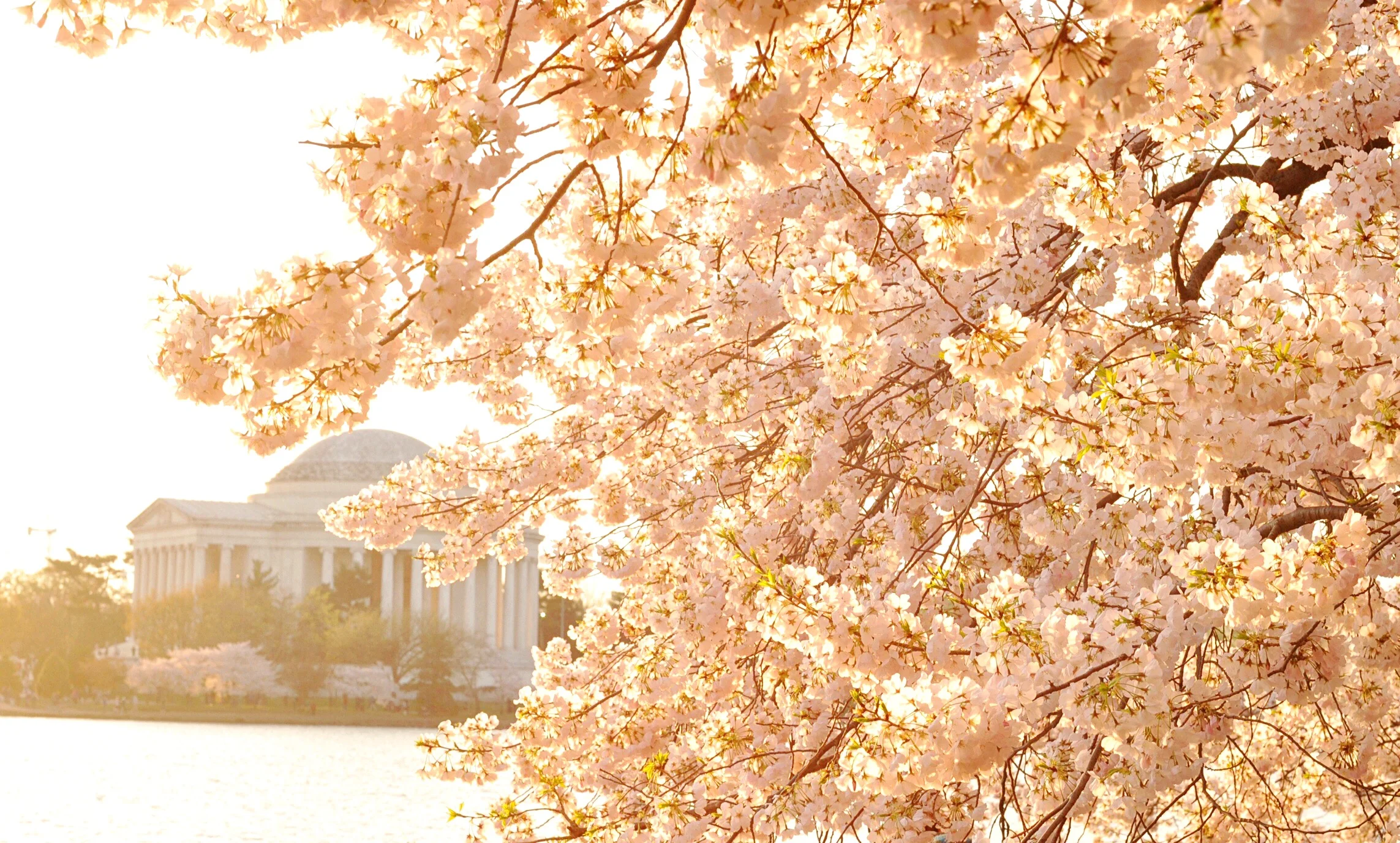 The sun dawning on the Jefferson Memorial in Washington, D.C.