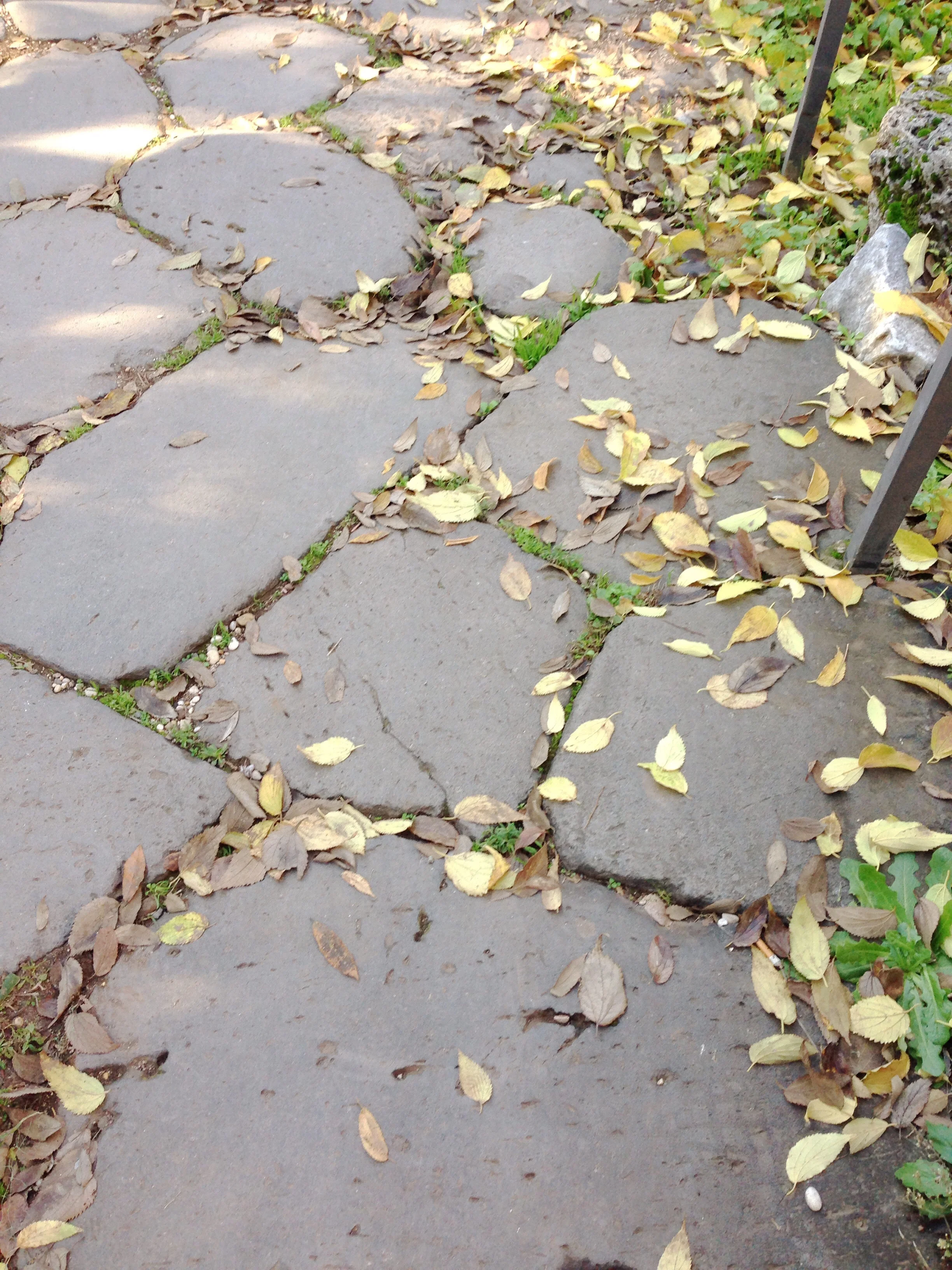 All Roads Lead to Rome. &nbsp;Walkway in the Roman Forum.
