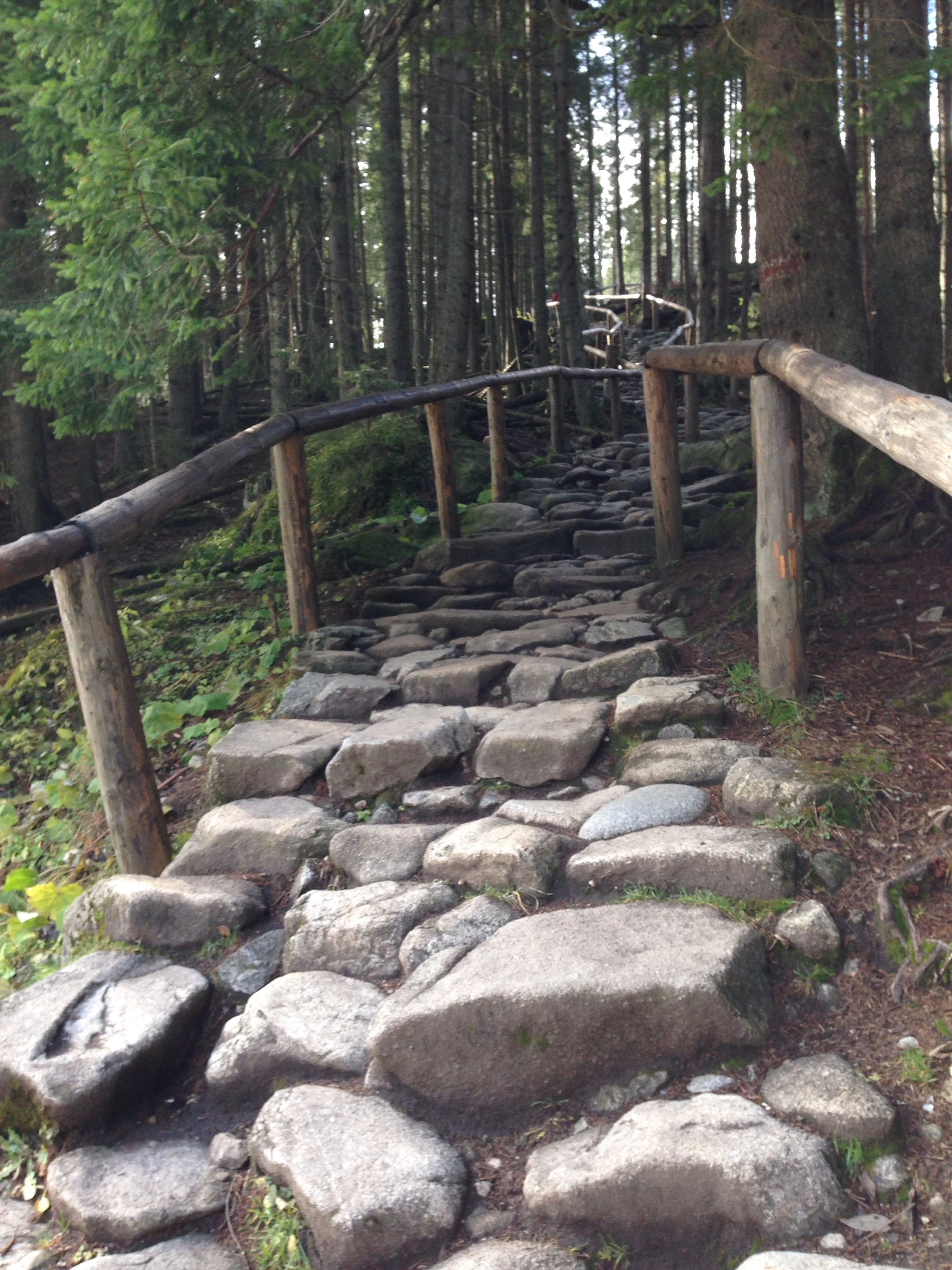 A path in the Tatra Mountains. 