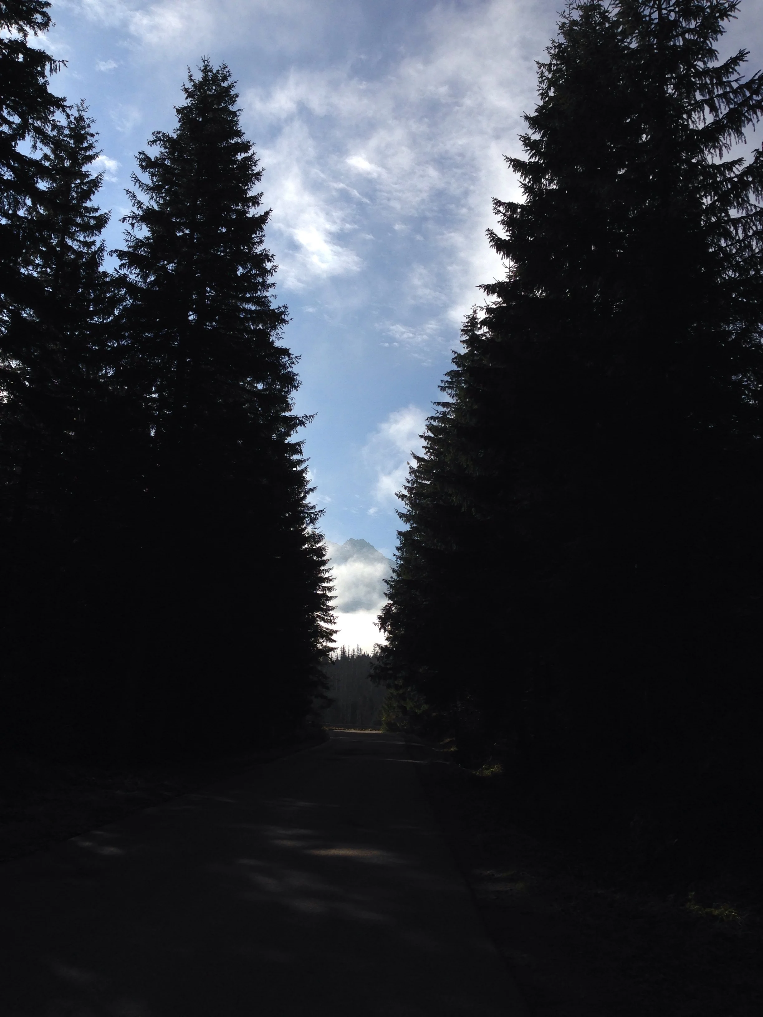 First glimpses of the mountains through the trees on the hike to Morski Oko