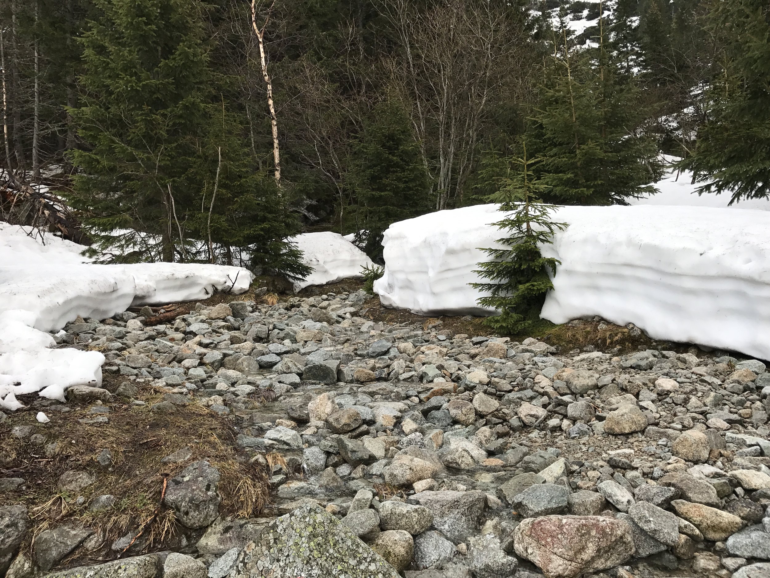 Snow pack on the hike around Morski Oko