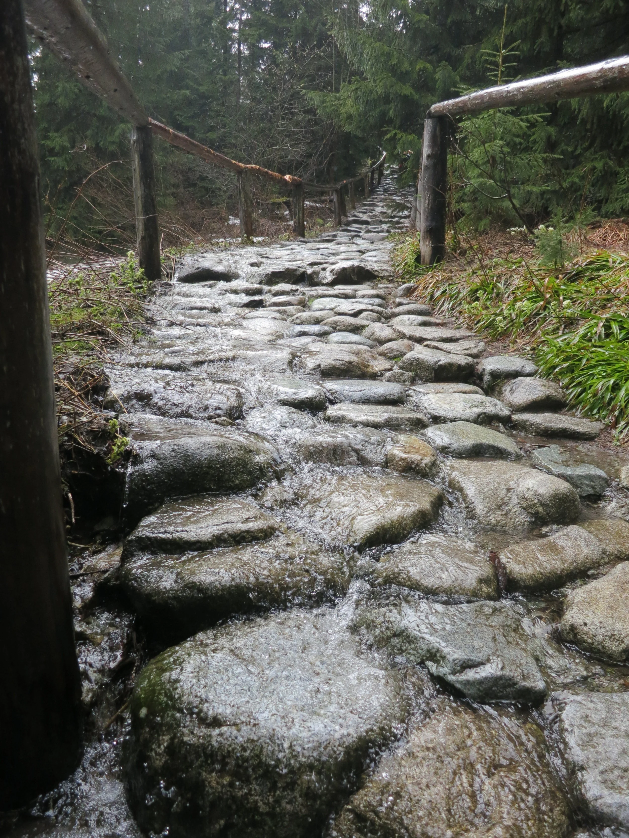 Water spilling over the path in the Tatras in Spring.