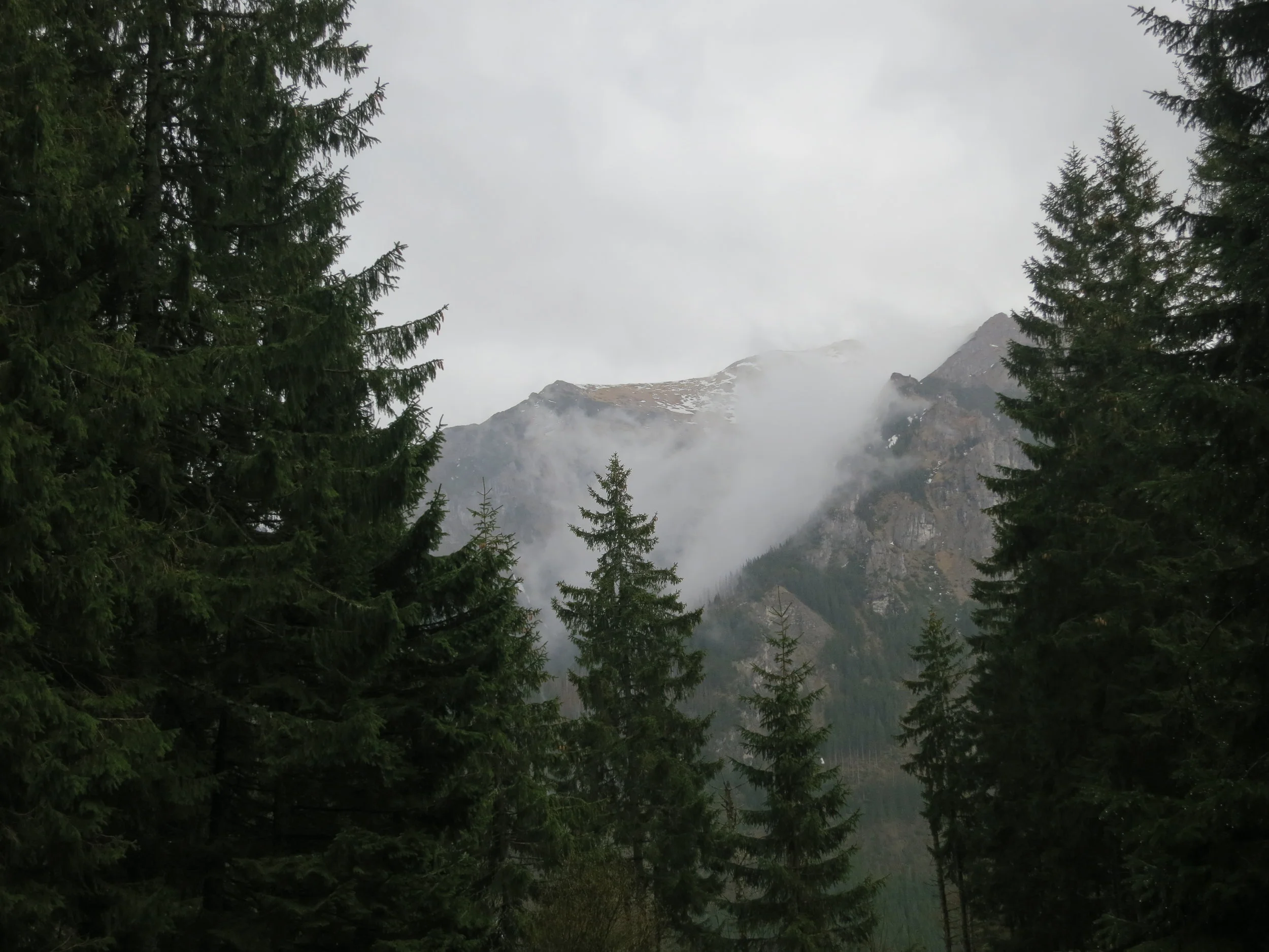 Fog in the Tatra mountains