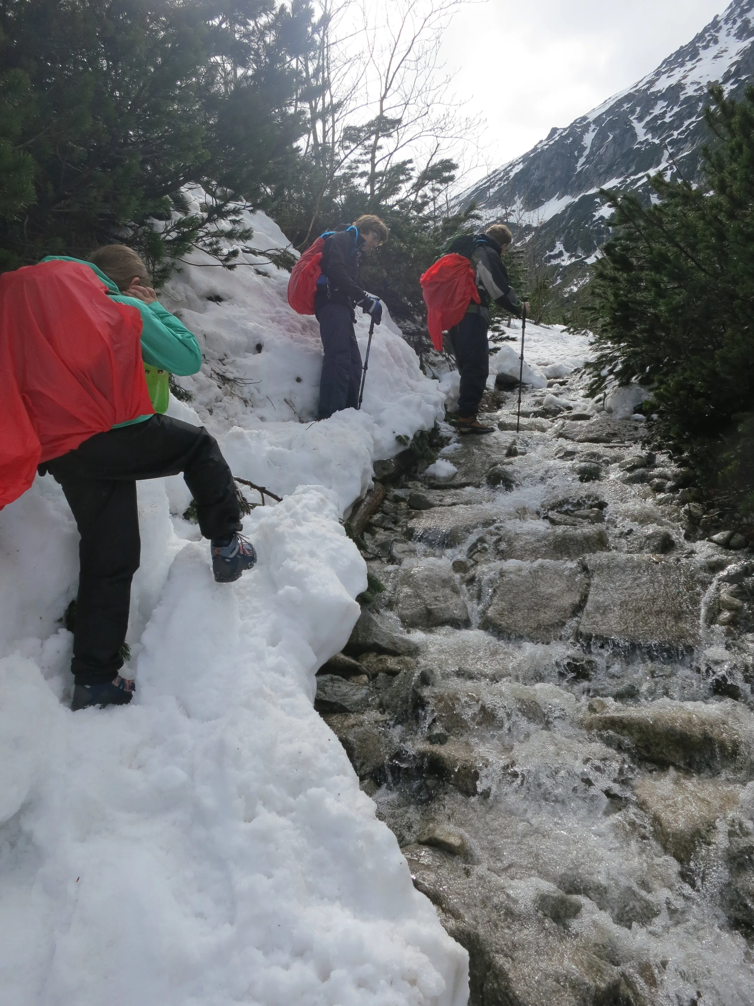 Crossing a stream, almost into Dolina Pięciu Stawów, the Valley of the Five Lakes
