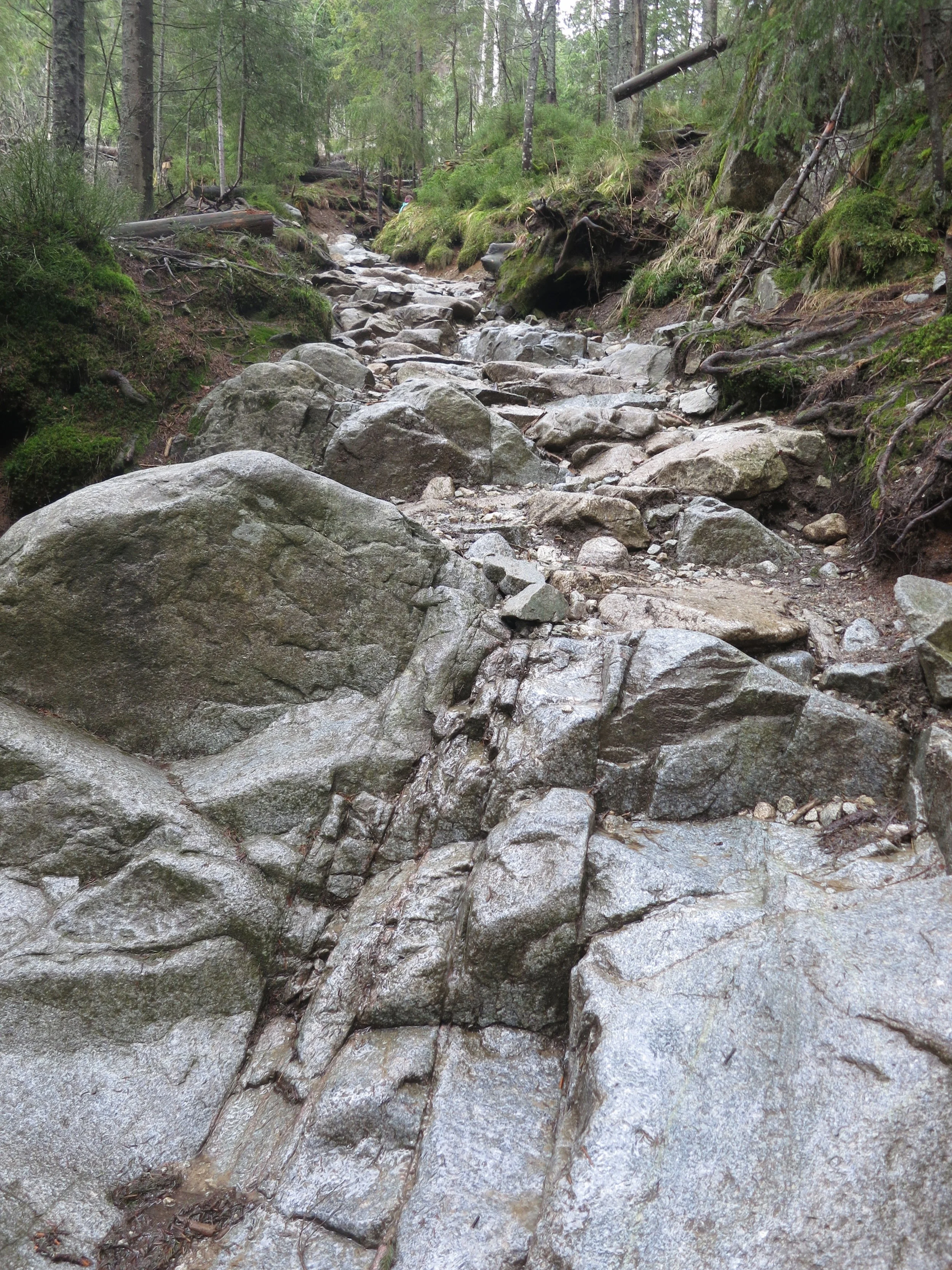 The path on the hike to Dolina Pięciu Stawów