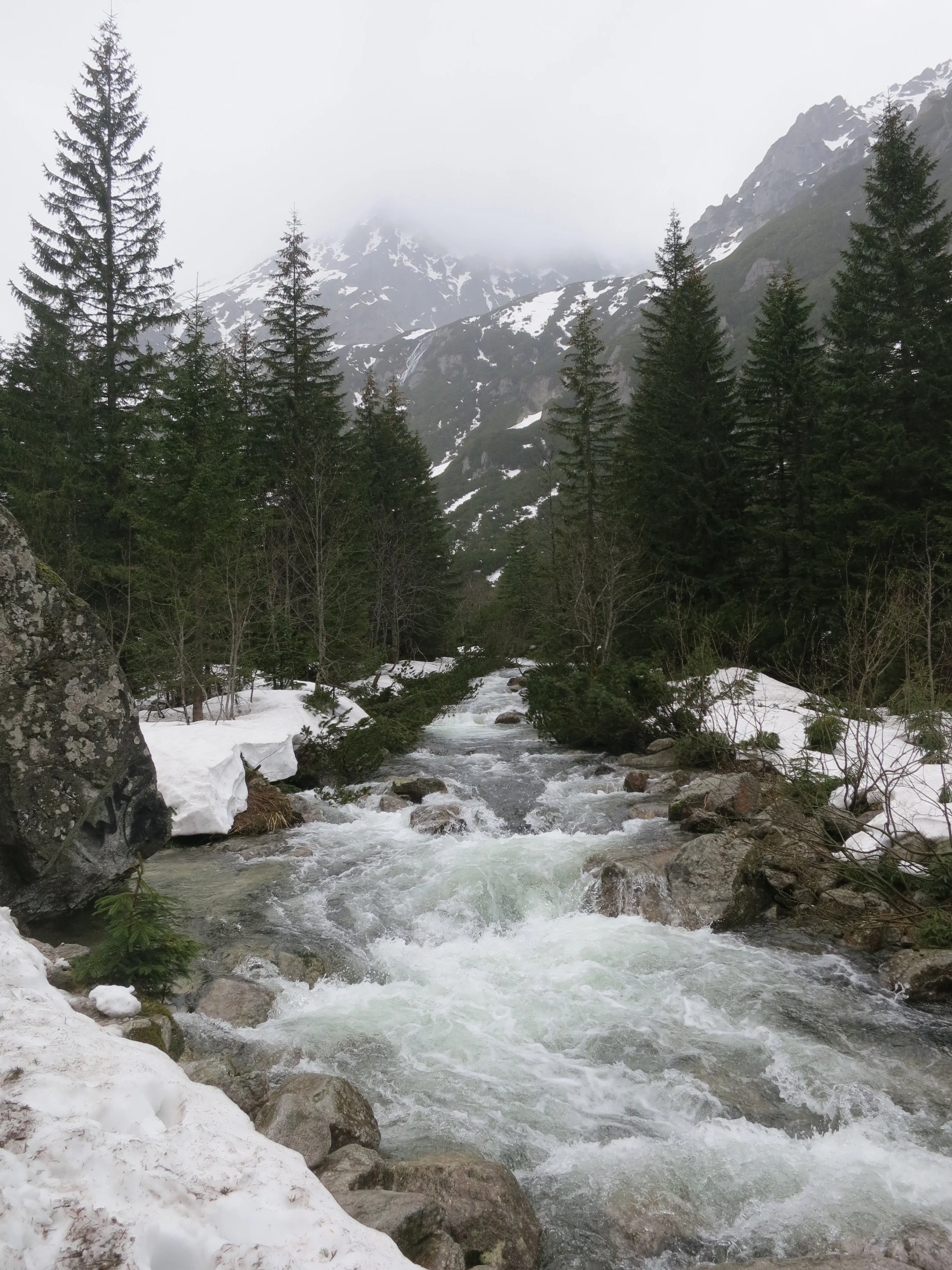 A river in the Tatra Mountains is swollen with snow melt.