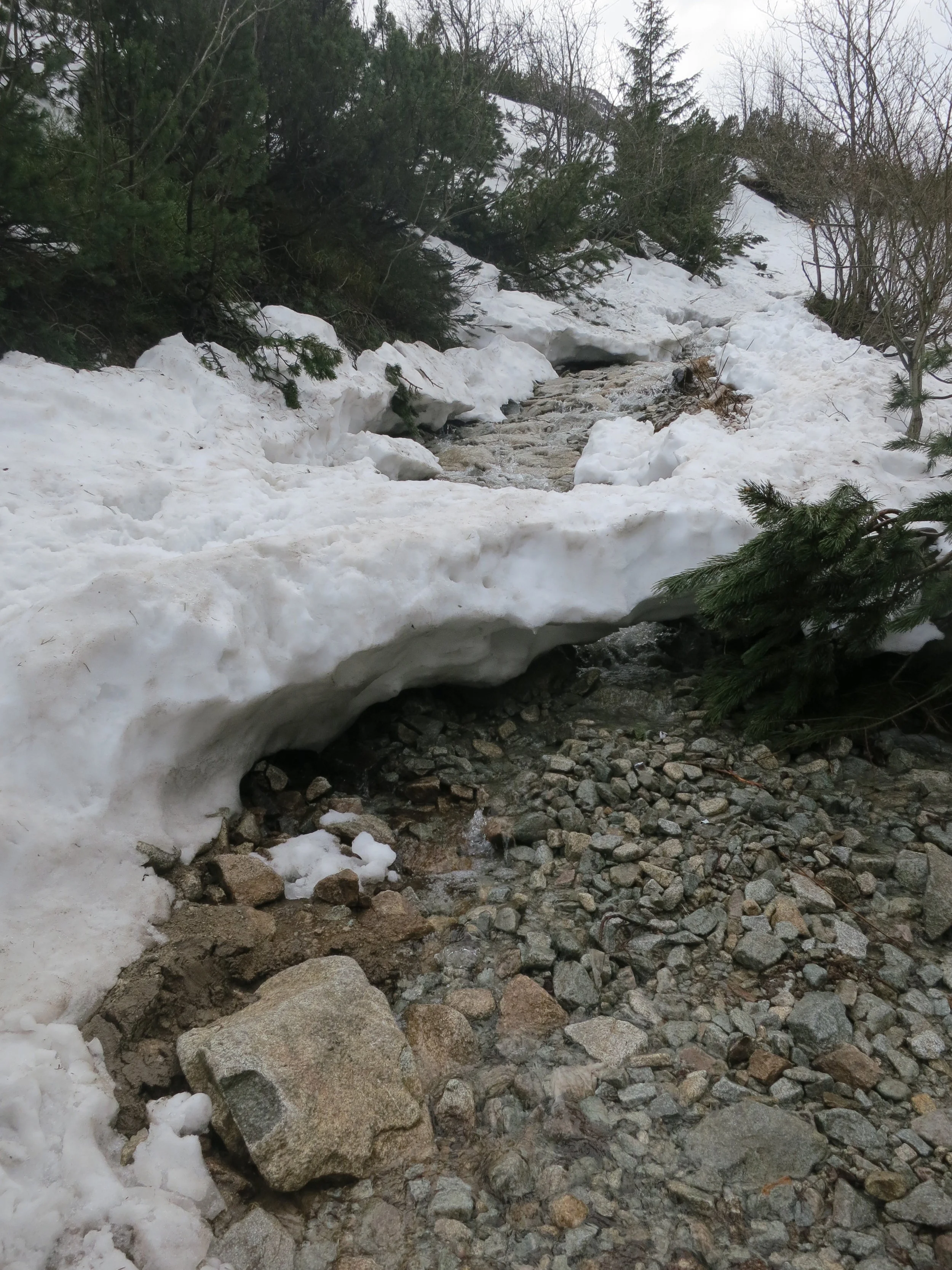 The path to Dolina Pięciu Stawów is covered with a snow bridge, over melting snow below.