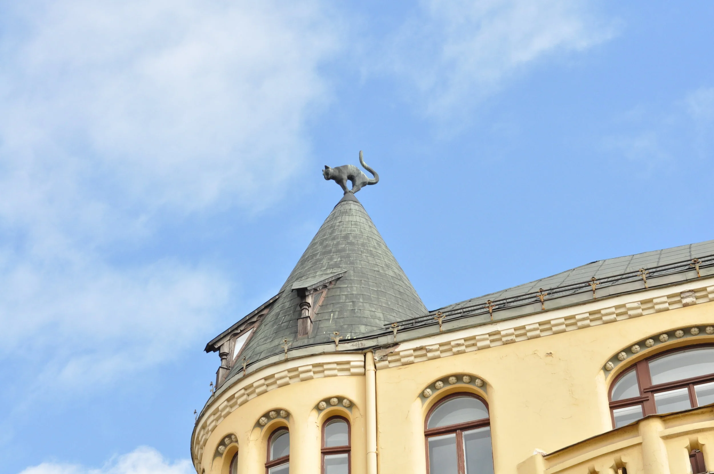 Cat on the Roof in Riga, Latvia