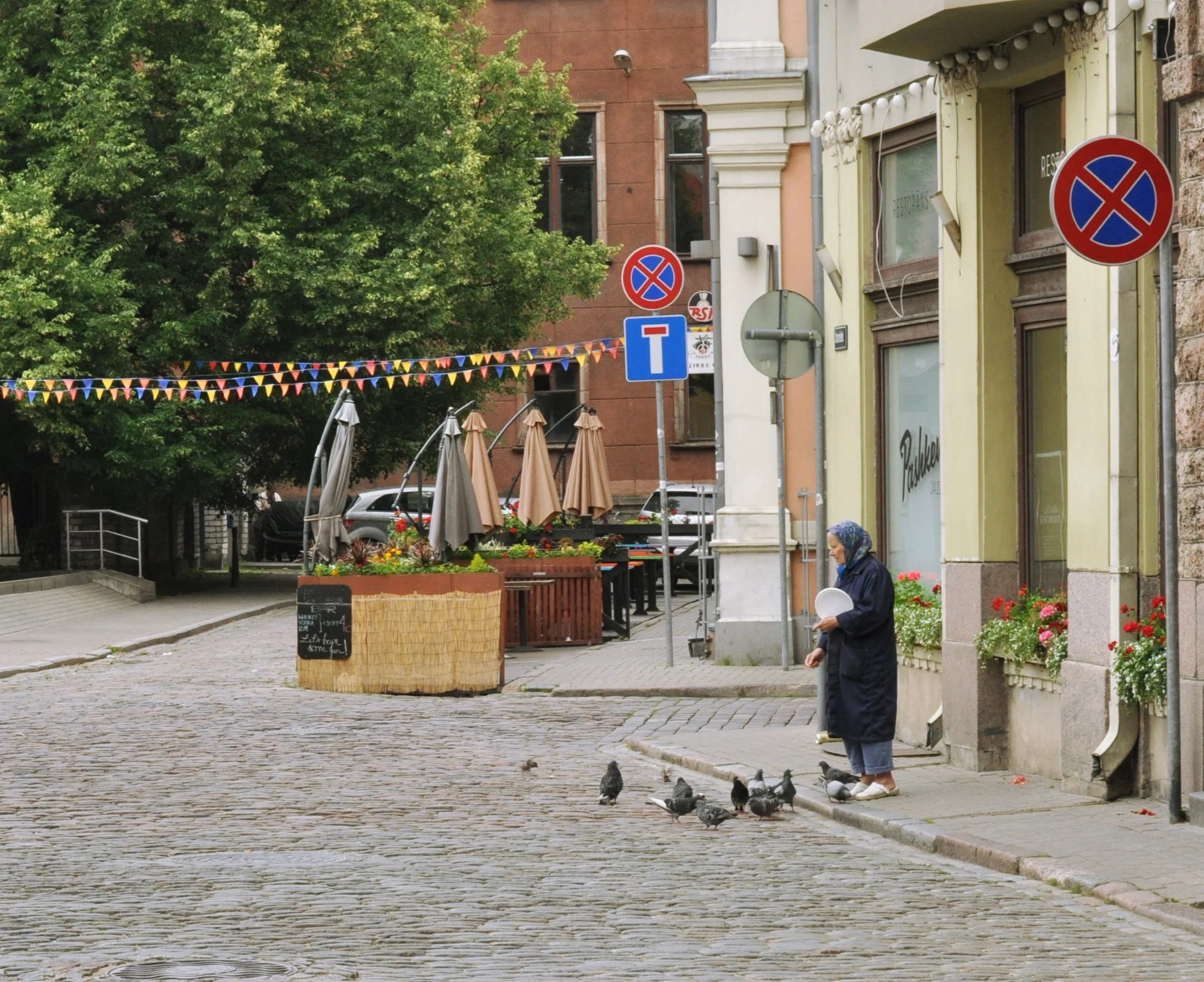 Woman feeding pigeons in Riga, Latvia 