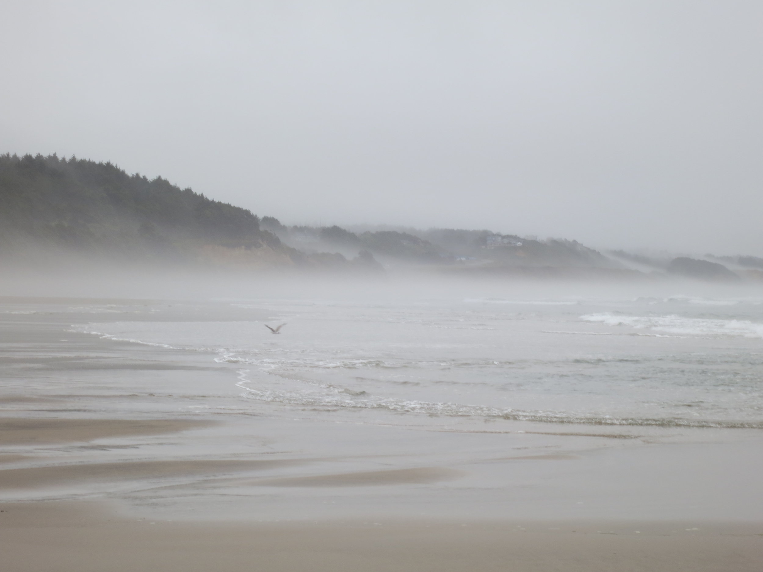 The Oregon Coast