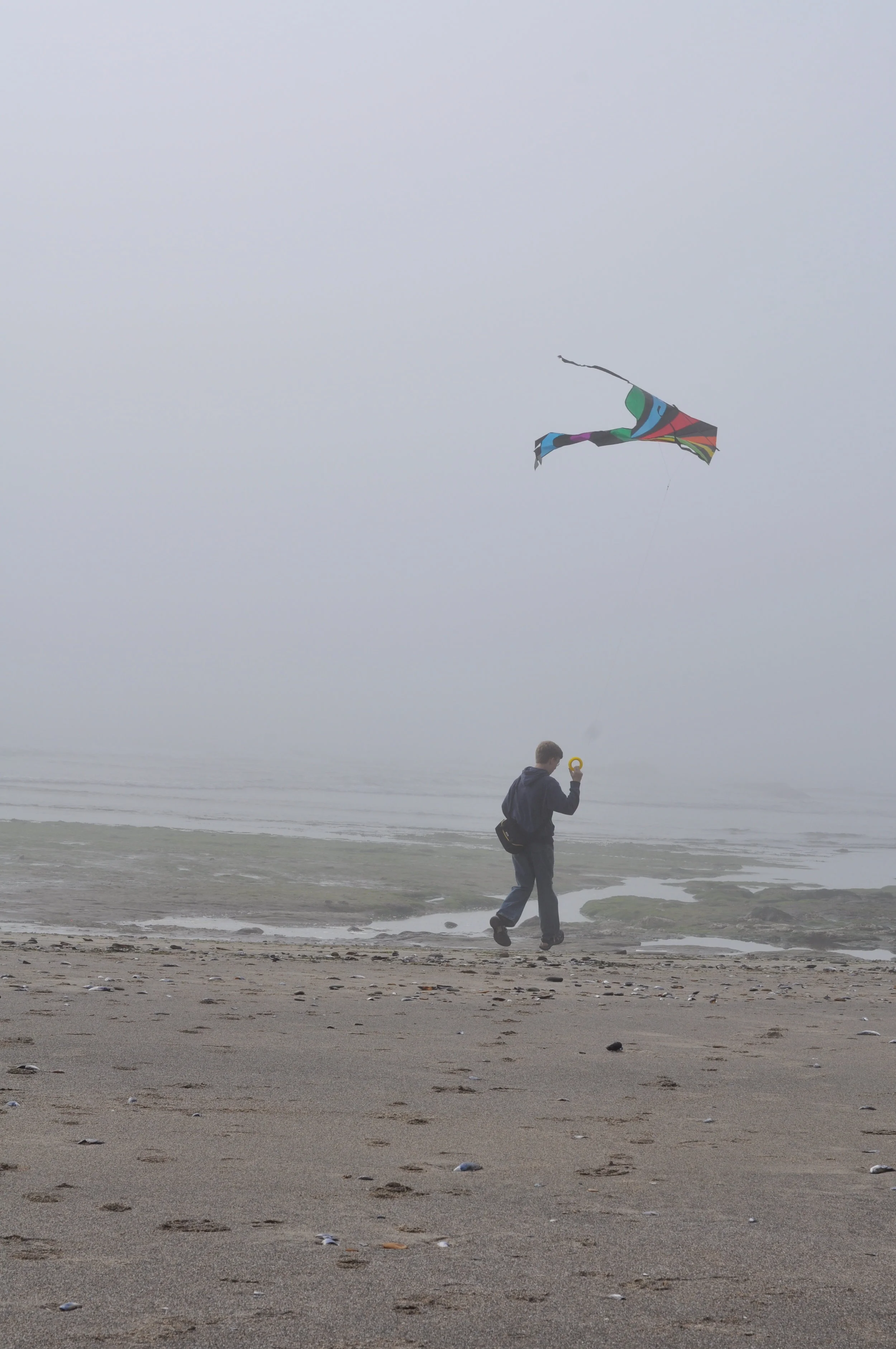 Kite flying on the Oregon Coast