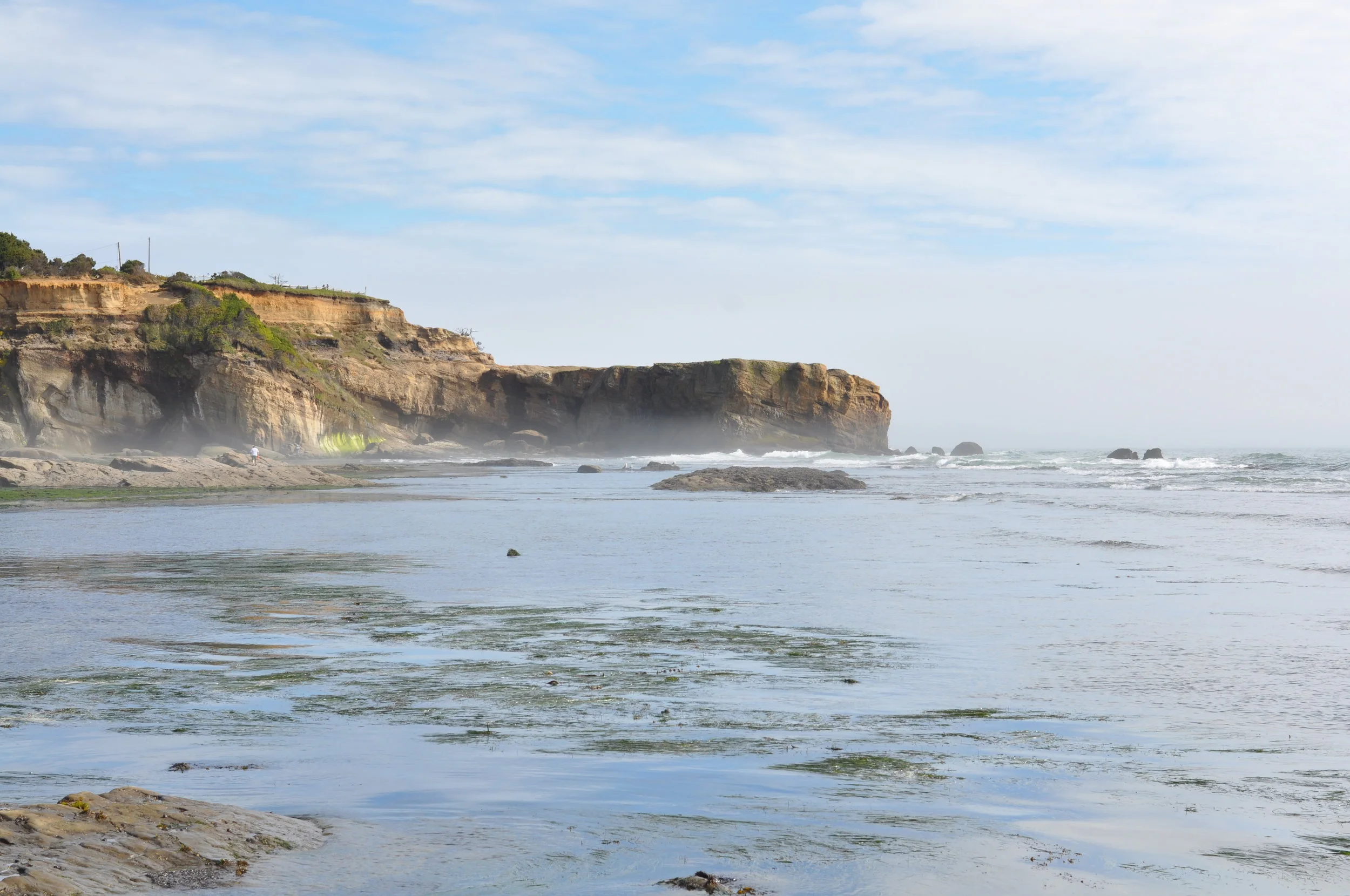 A Walk Along the Oregon Coast