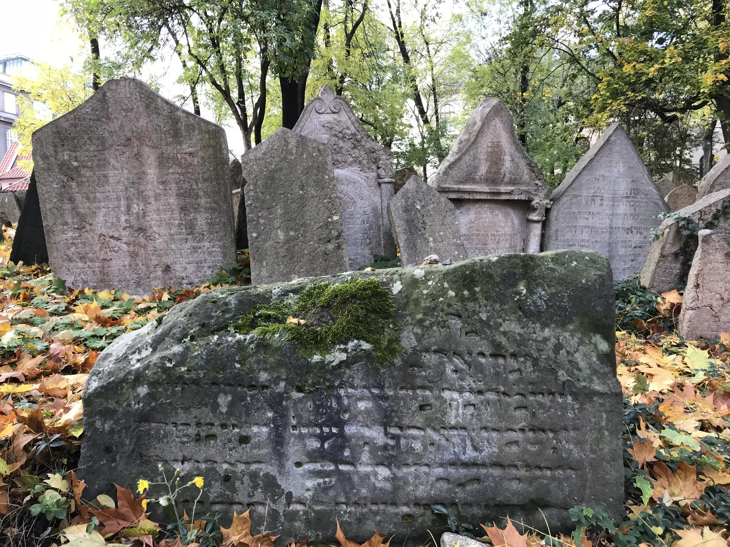 Tombstones in the Jewish Cemetery in Prague, Czech Republic