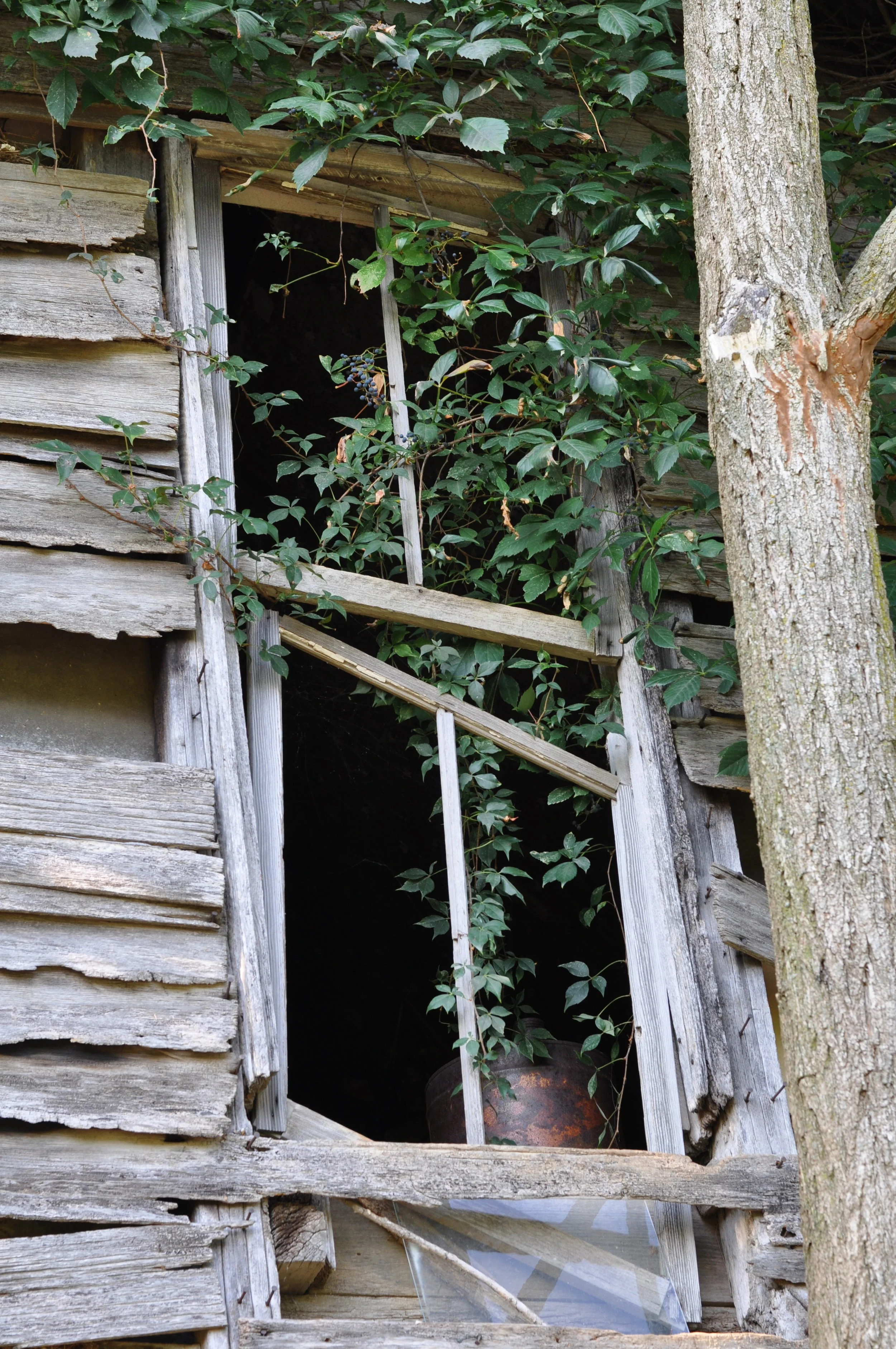 DSC_0164.JPG