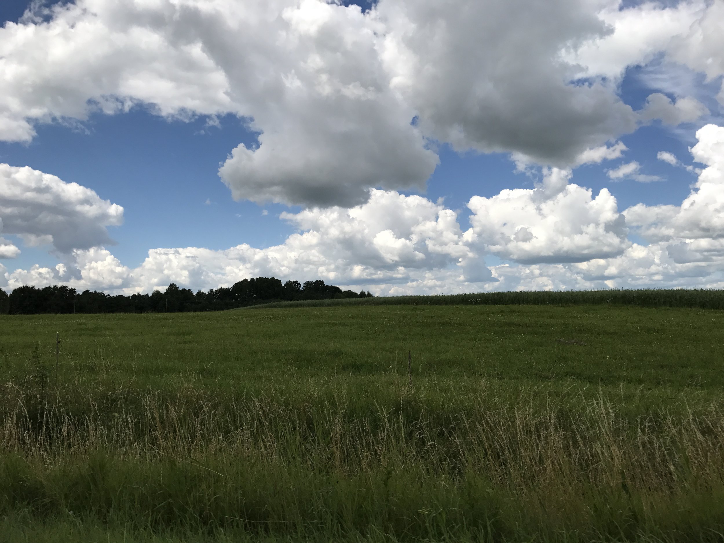 7476C82F-A481-4450-8D4B-1444AB36DF1C.JPG