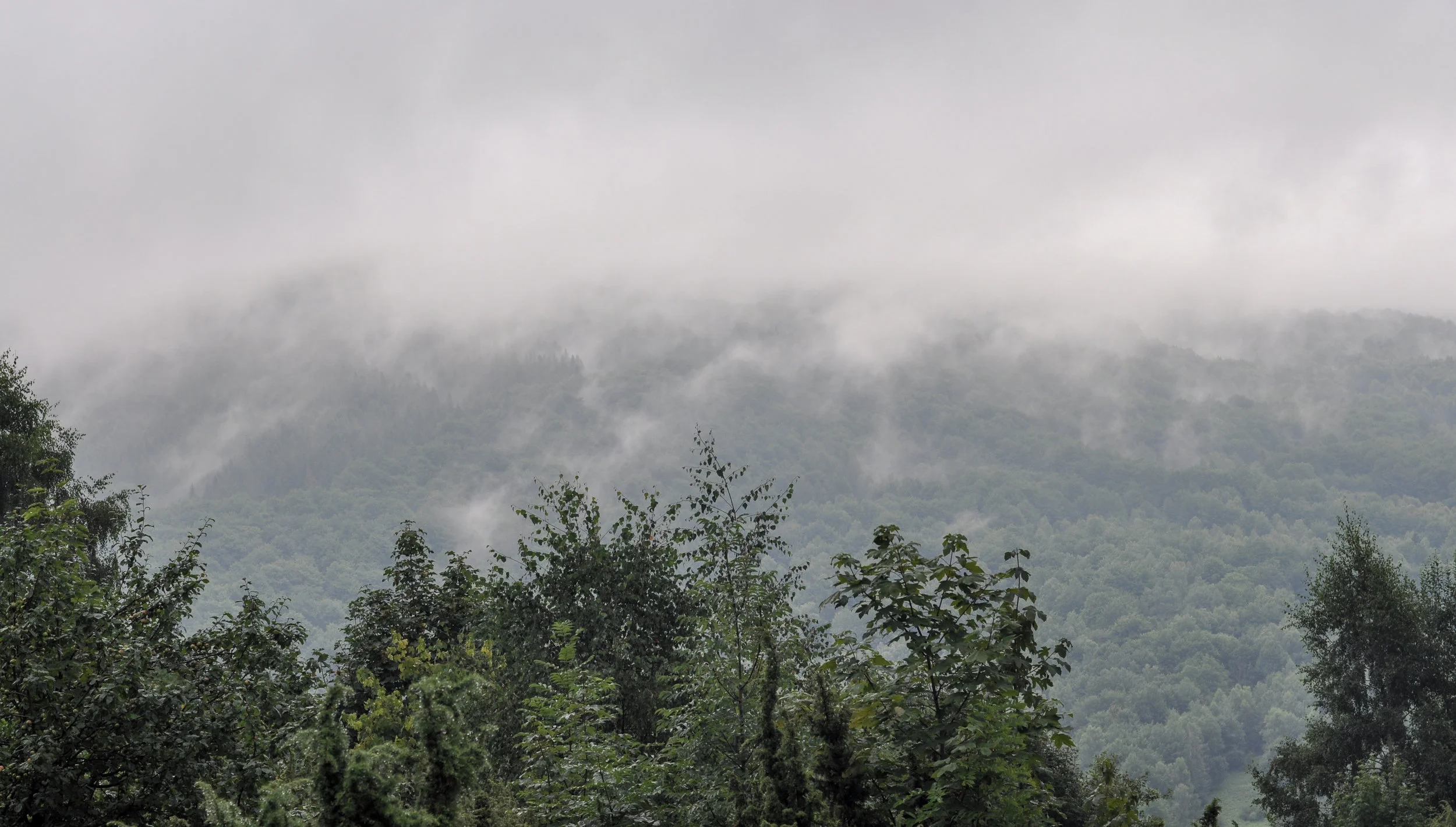 E1590347-344A-44F3-AB67-DA26FFFF915A.JPG