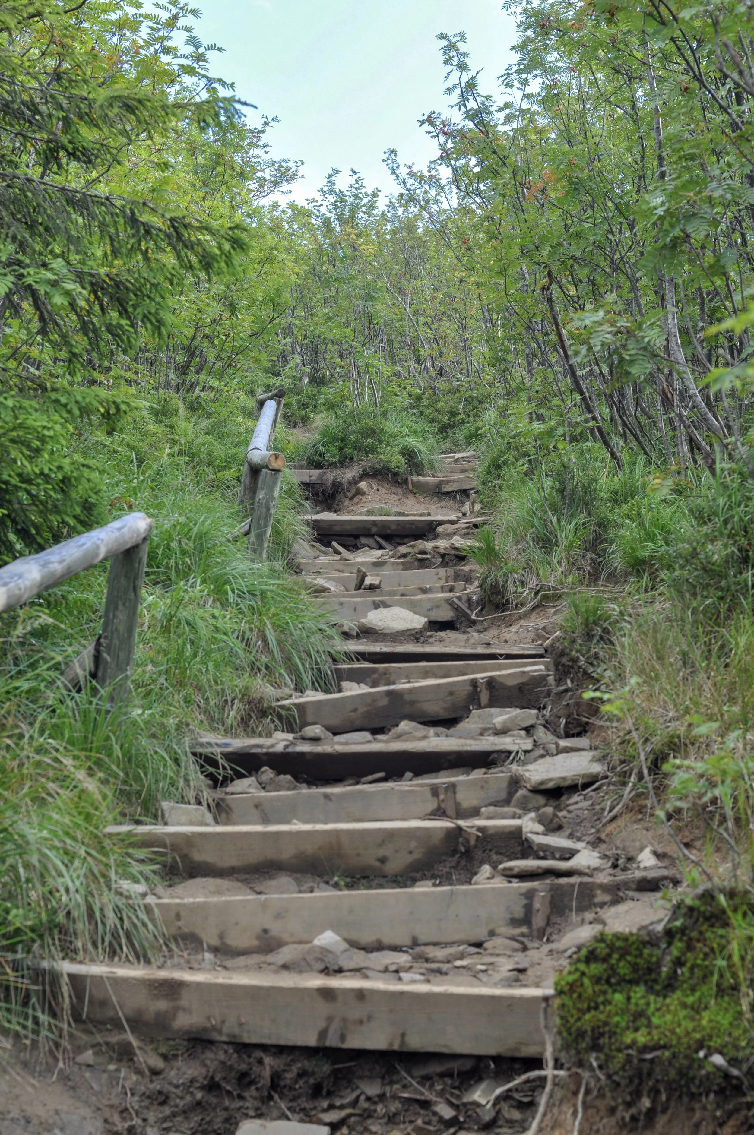 Steps on the Tri-Border trail in the Bieszcady Mountains