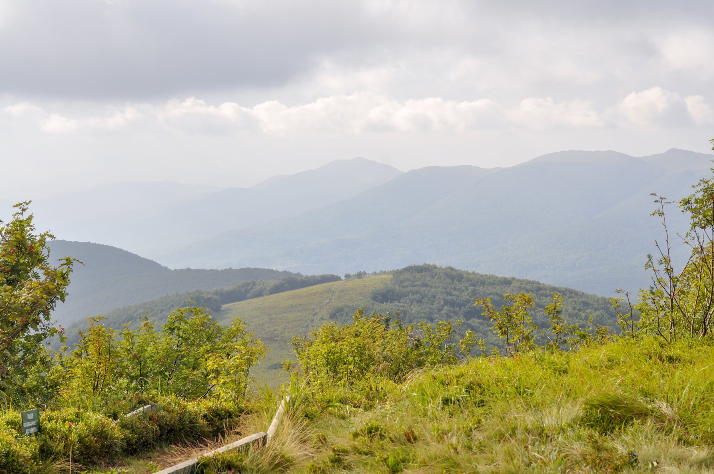 Trail through the połoniny on the Tri-Border hike in the Bieszcady Mountains