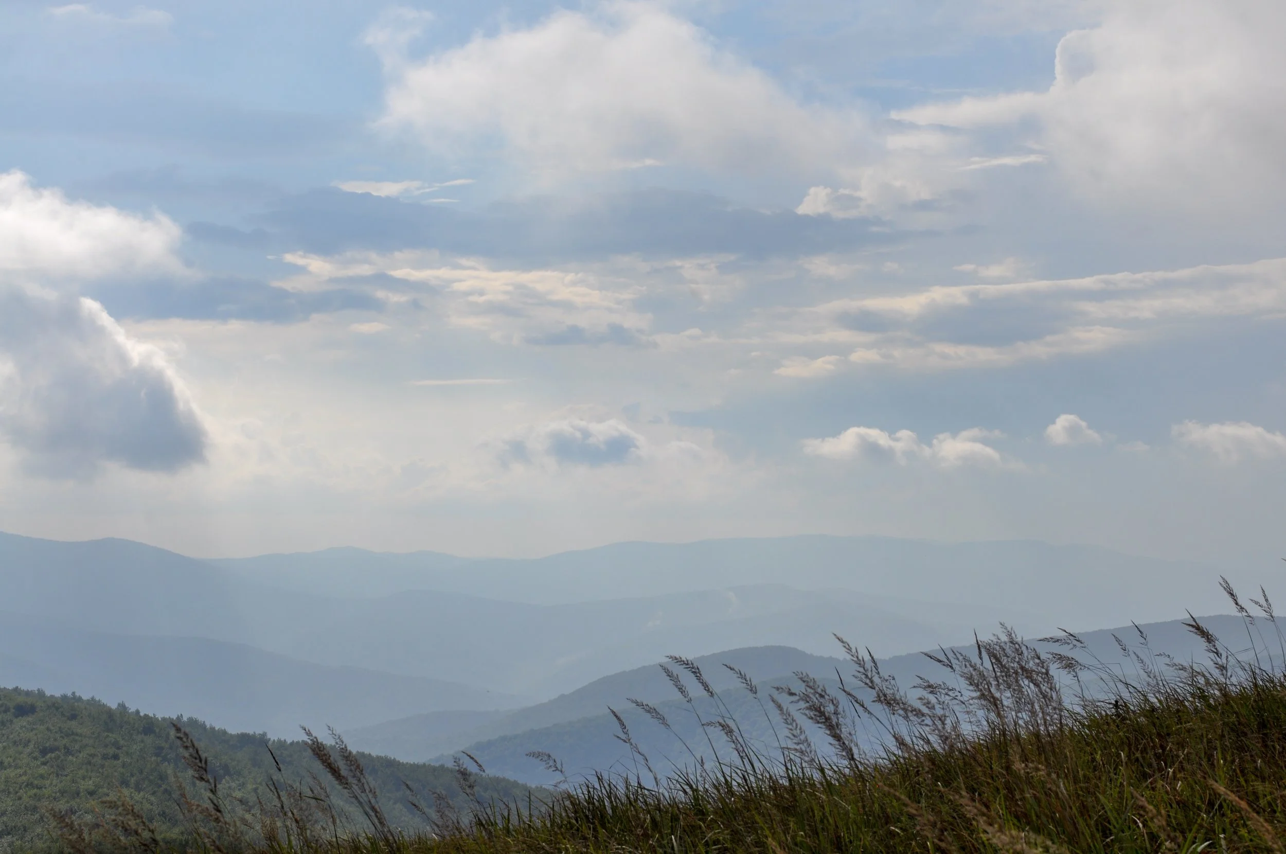 Views of mountains and valleys on the Tri-Border hike in the Bieszcady Mountains with grass in the forefront